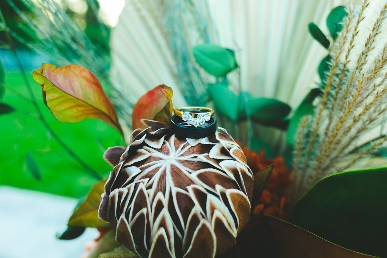 Crystal clear day with Centaine &amp; Jamie! We started off doing bridal party portraits in Lucy&rsquo;s Gully before their sunshine soaked coastal ceremony. After mingling with guests we shot golden hour photos at the beach followed by dinner, drink