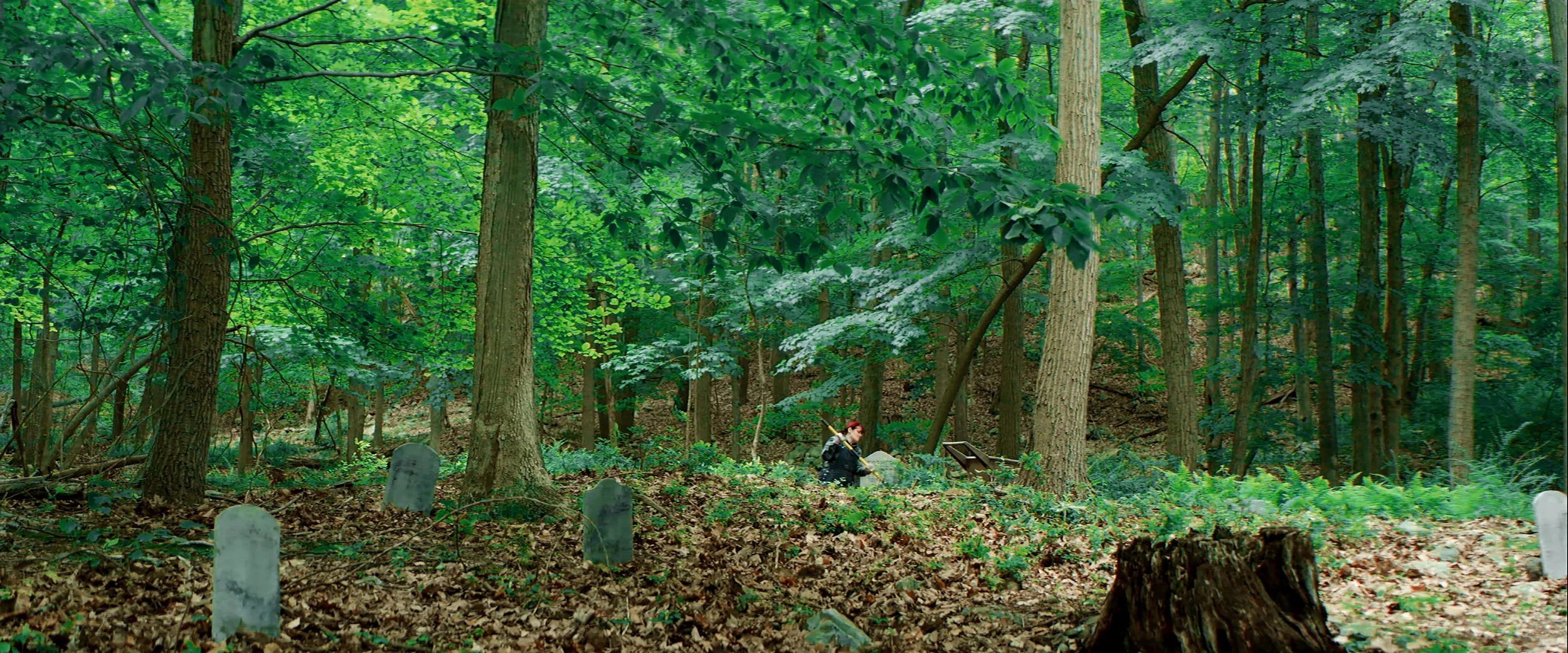 05.jpg