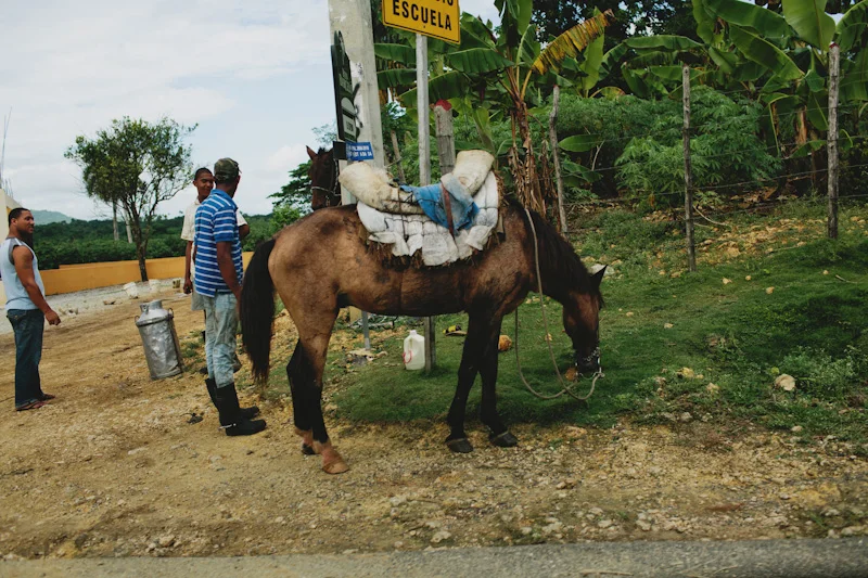 Dominican Republic Travel Photography-004