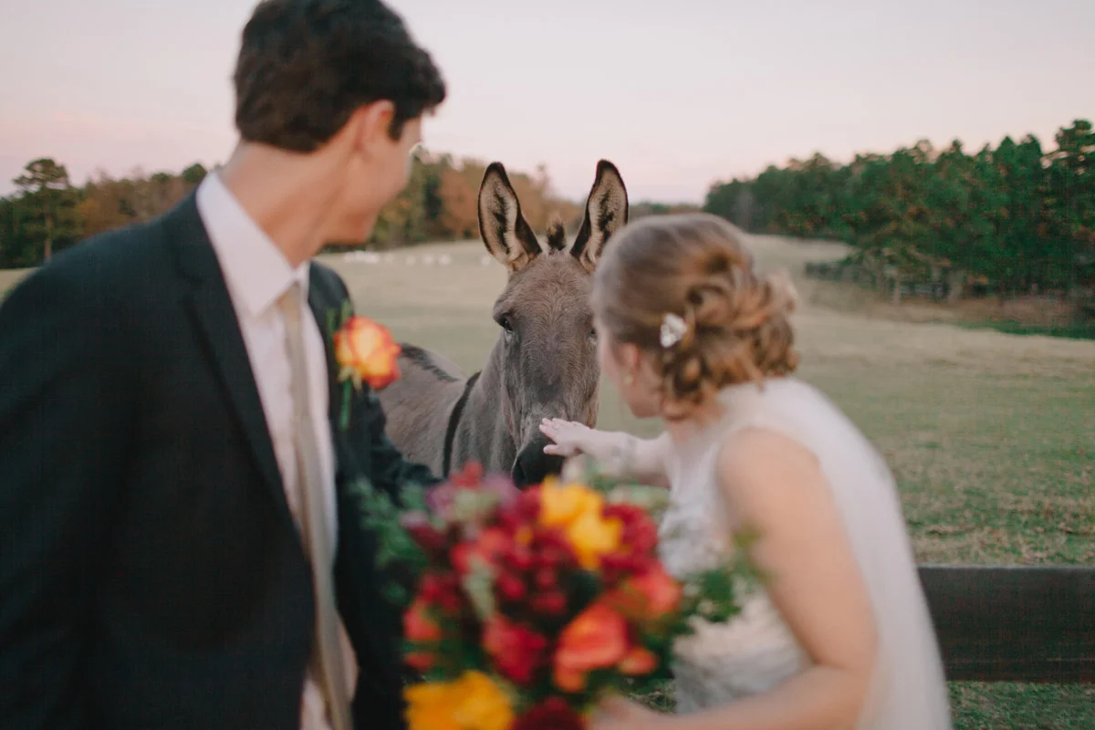 Little Rock Arkansas Moss Mountain Farm Wedding - Paige and Cory-027.jpg