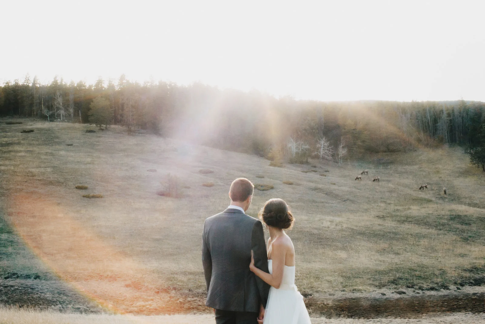Denver Colorado Wedding Photographer-013.jpg