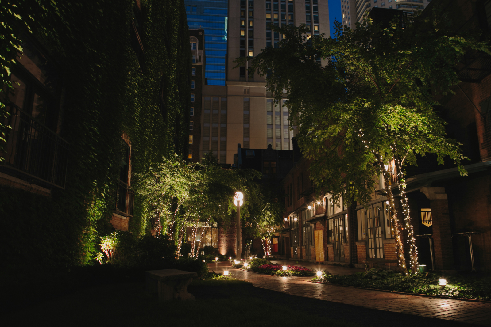 Outdoor Wedding at the Ivy Room Chicago Wedding Photographer - Rachel and Luke-044.jpg