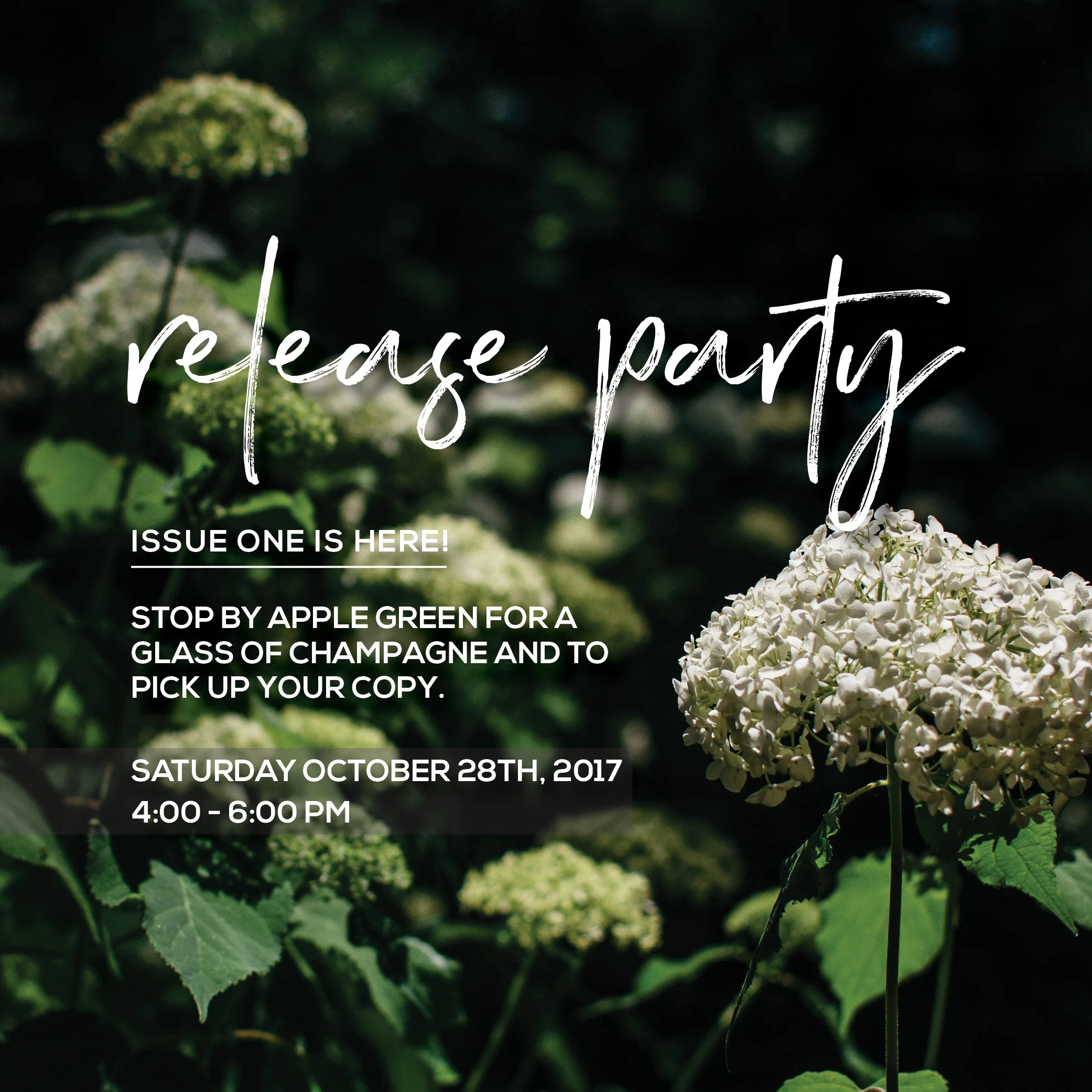 release party5.jpg