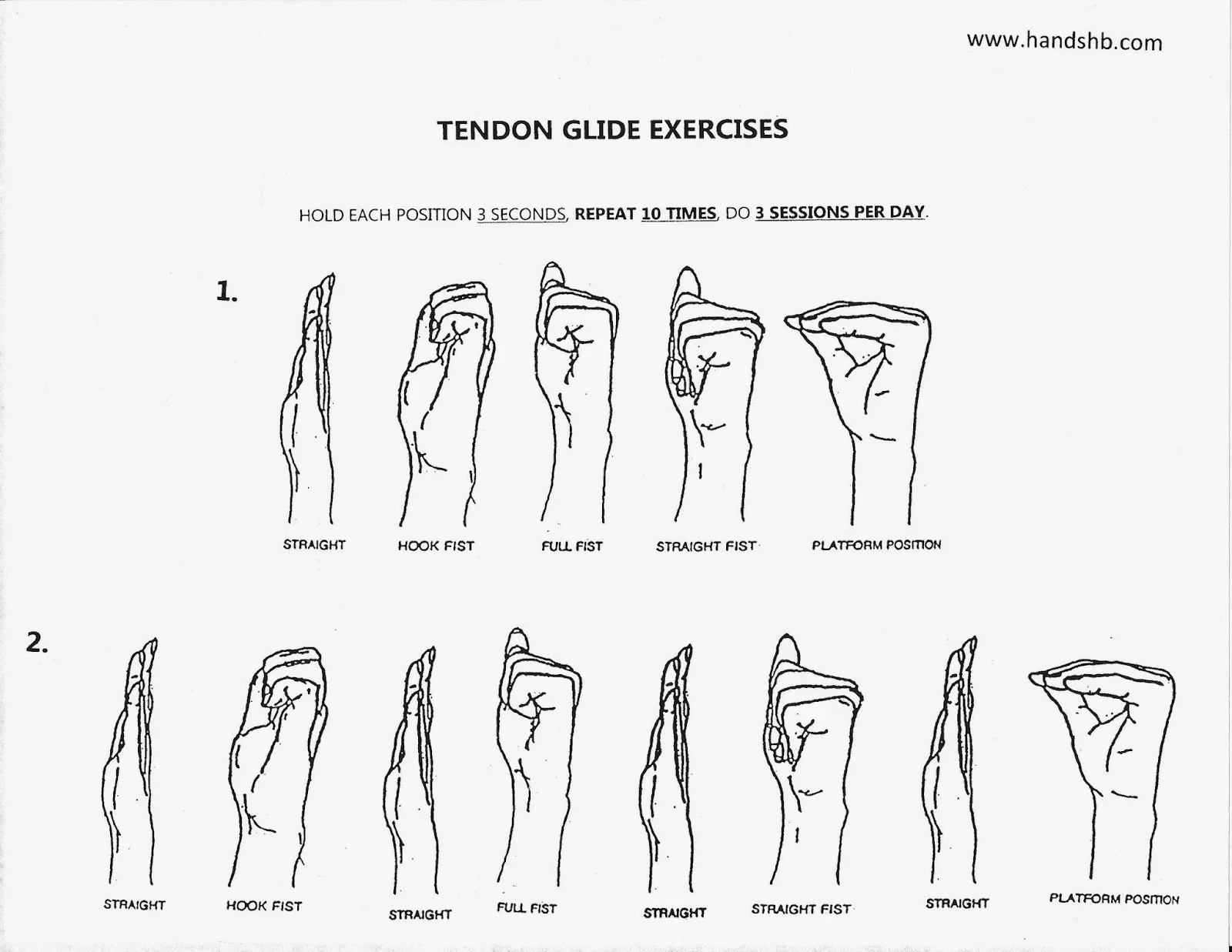 Tendon Glide Exercises.jpg
