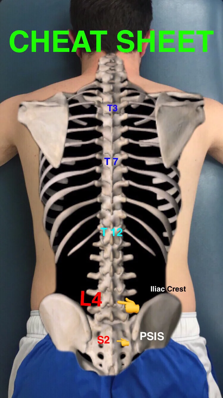 Spine Palpation — SnapSPT 👻