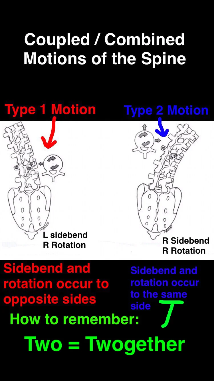 Coupled Spine Motions —