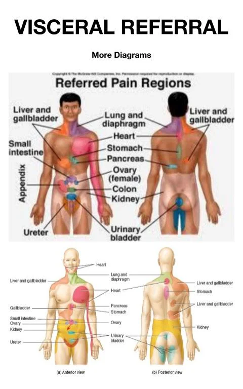 Visceral Pain Referral SnapSPT