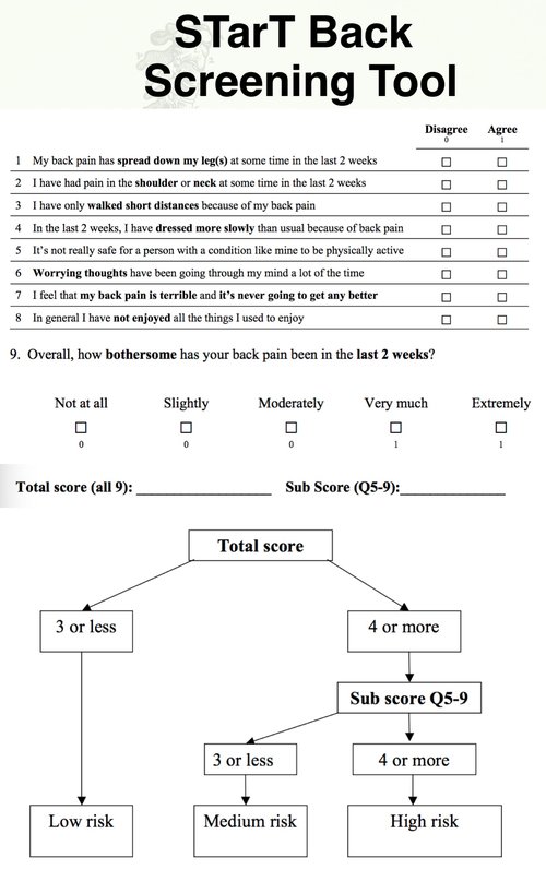 Resenha - Questionário STarT Back Screening Tool - Fisioterapia Ortopédica