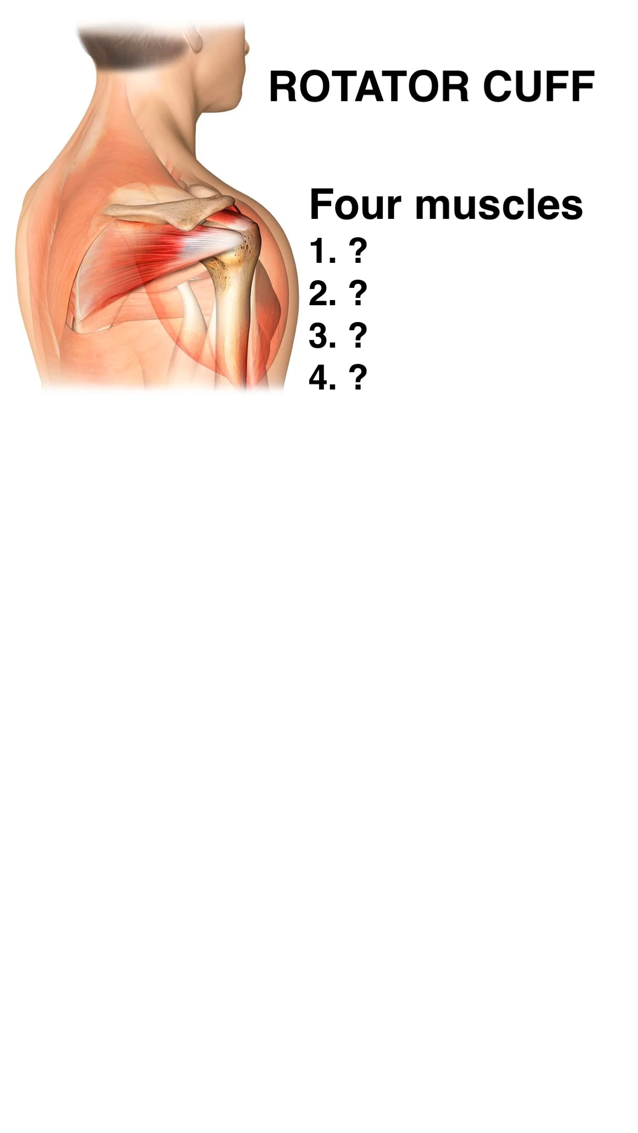 Slide02.jpg