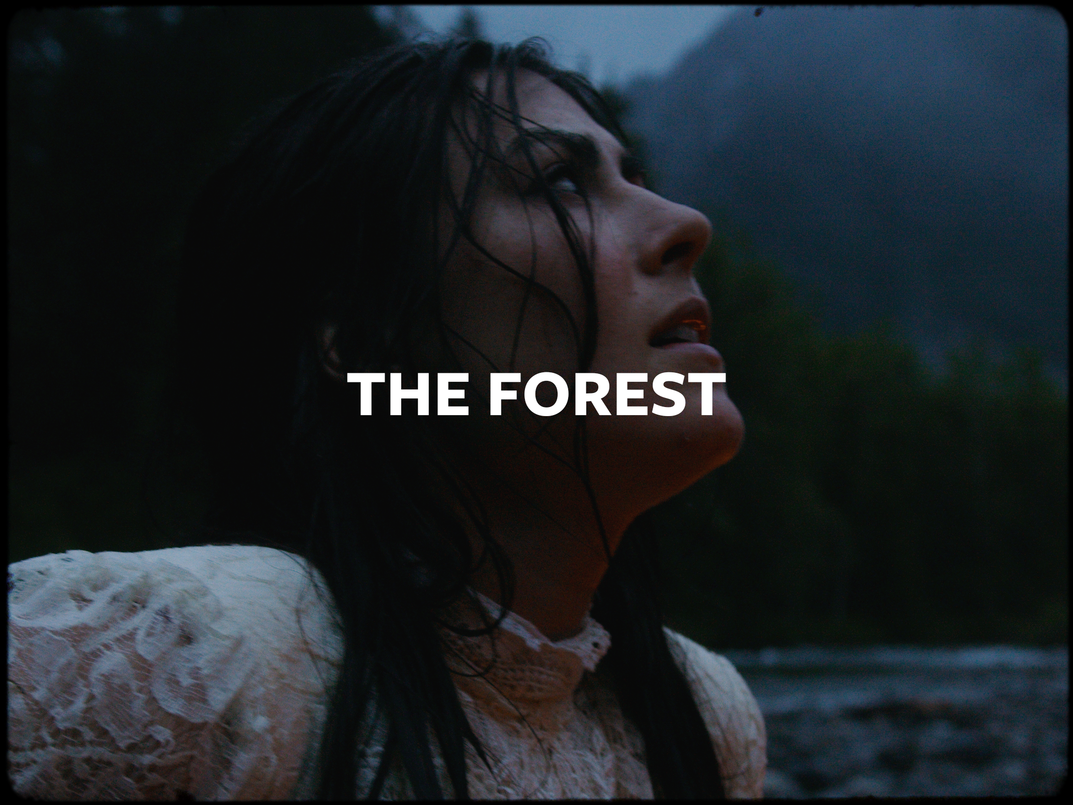 The Forest
