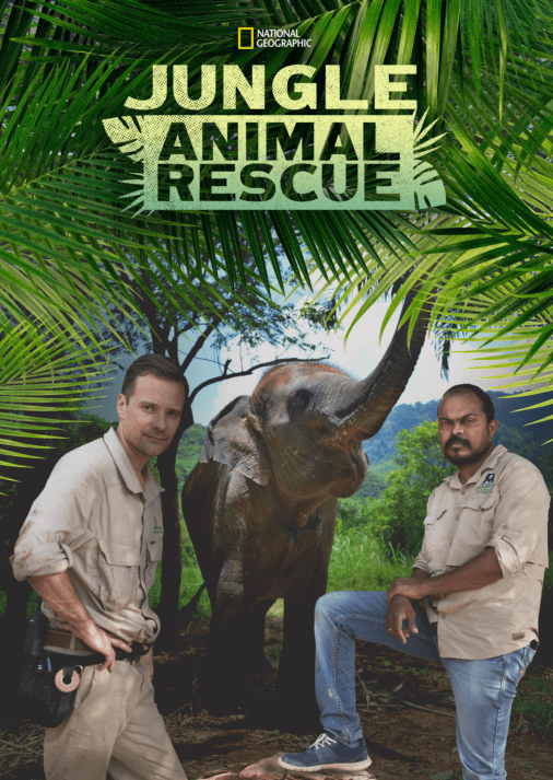 Jungle Animal Rescue 2.png