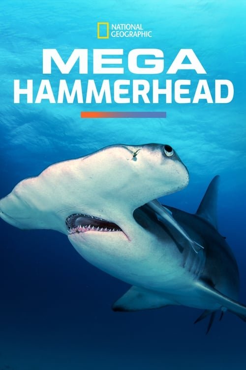 Mega Hammerhead.jpg