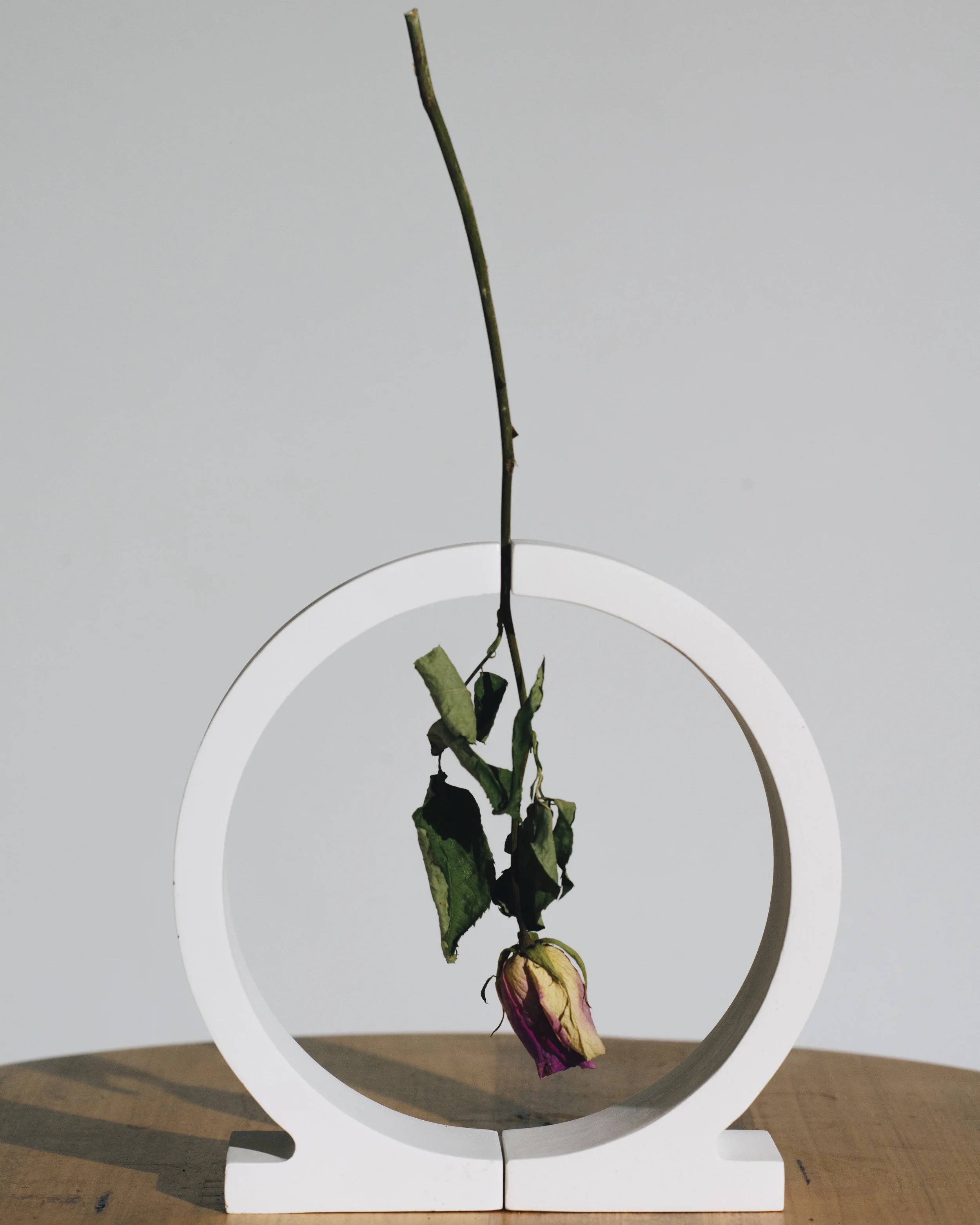 A Vase For Dead Flowers Amy Q Design