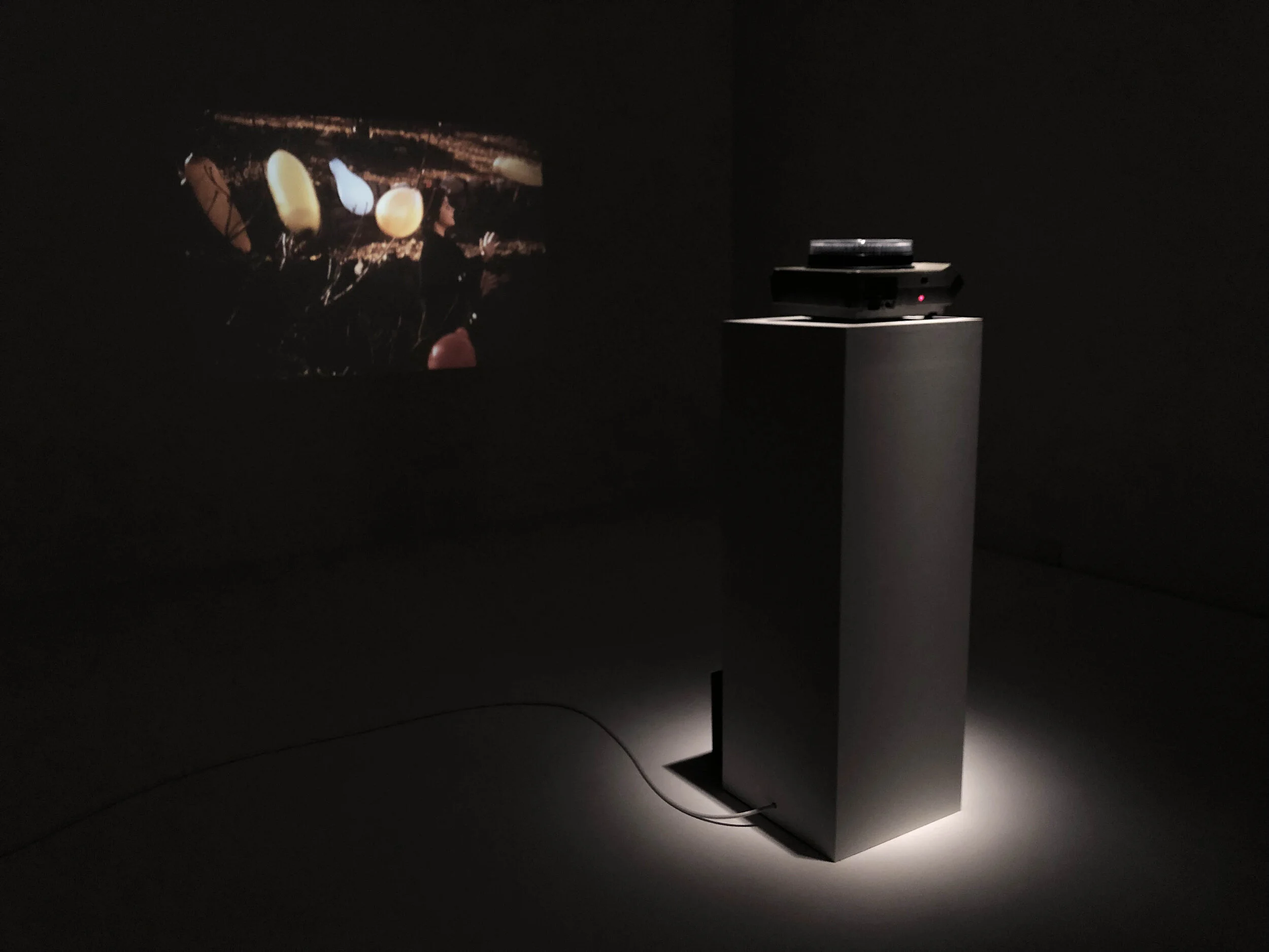 Garry Winogrand: Color