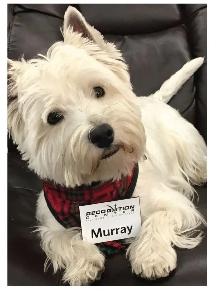 Murray - An essential part of the Recognition Center Team