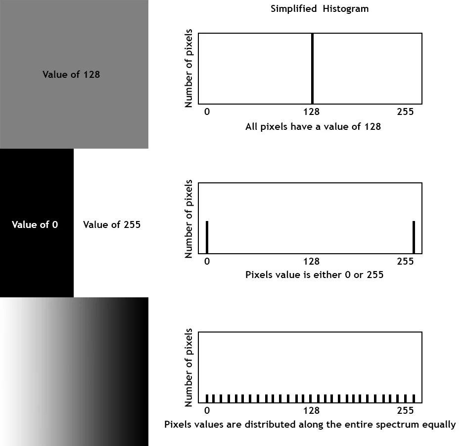 Understanding Digital Camera Histograms: Tones And Contrast – GGJH