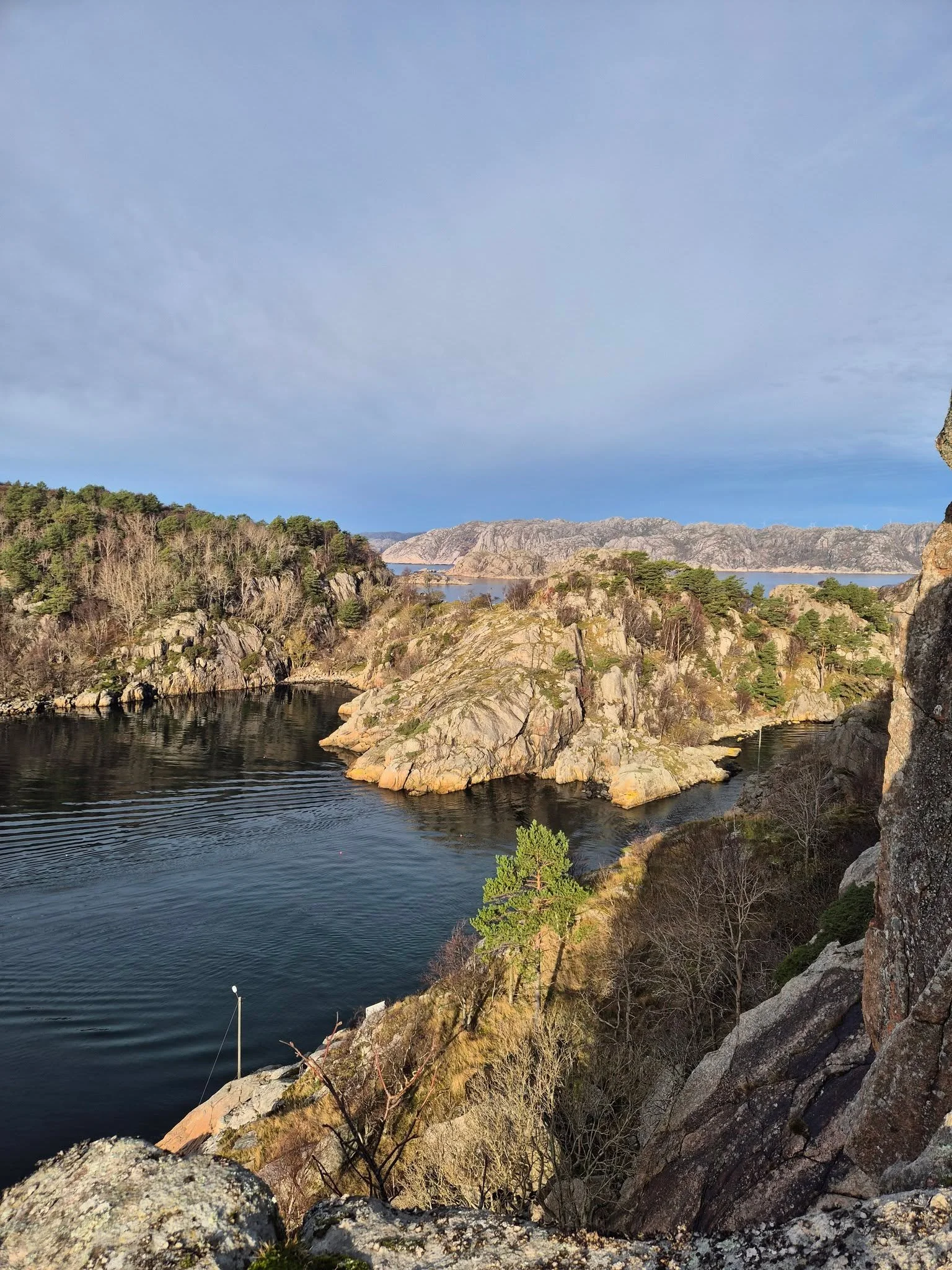 🐑 Villsausafari p&aring; Hidra

Bli med oss ut i naturen og kom tett p&aring; b&aring;de dyrene og historien.
Dette er ikke bare en tur &ndash; det er en opplevelse av ekte kystliv.

🌿 Ekte. N&aelig;rt. Uforglemmelig.