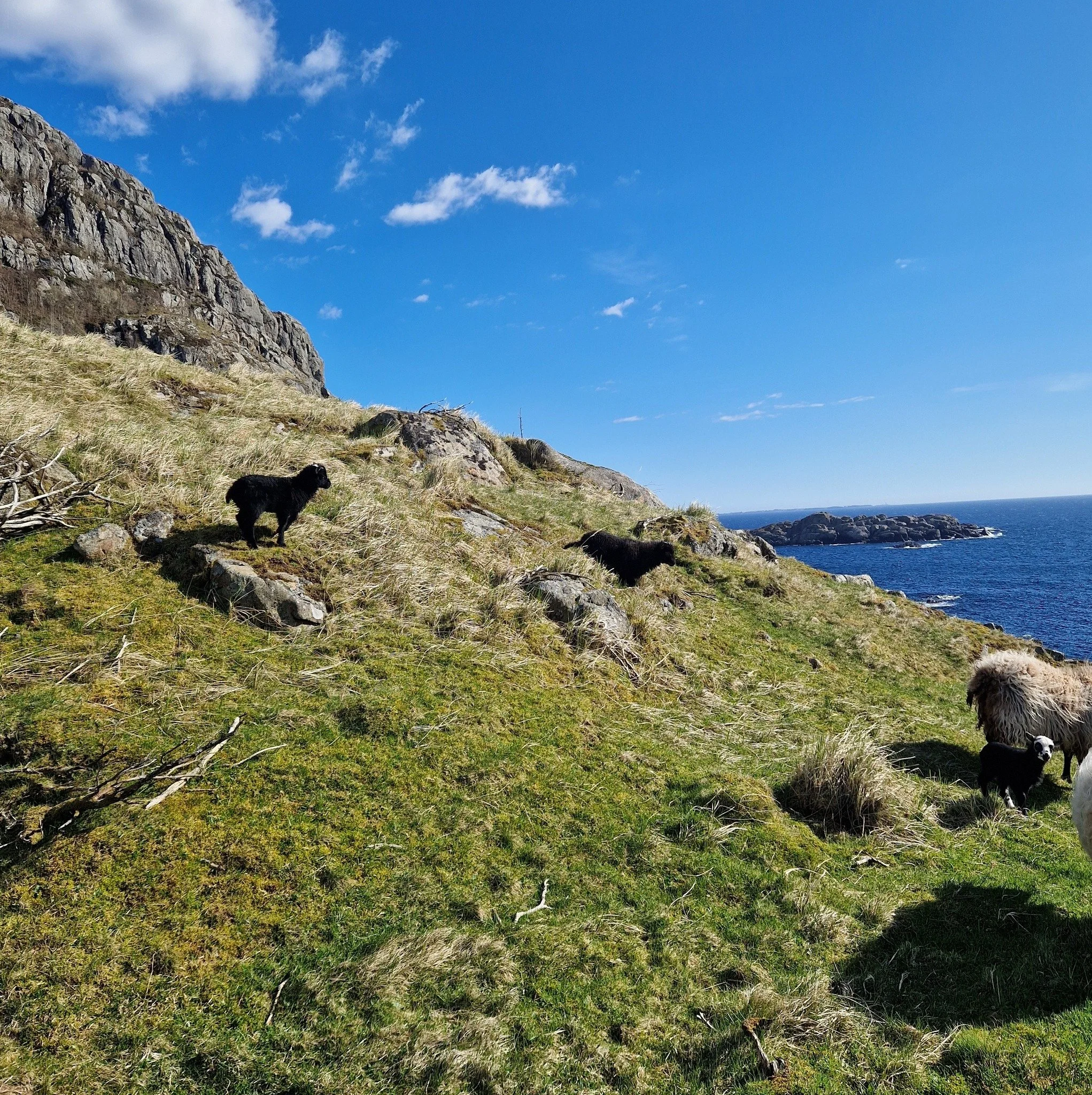 🥾 De beste opplevelsene finner du til fots 🌿