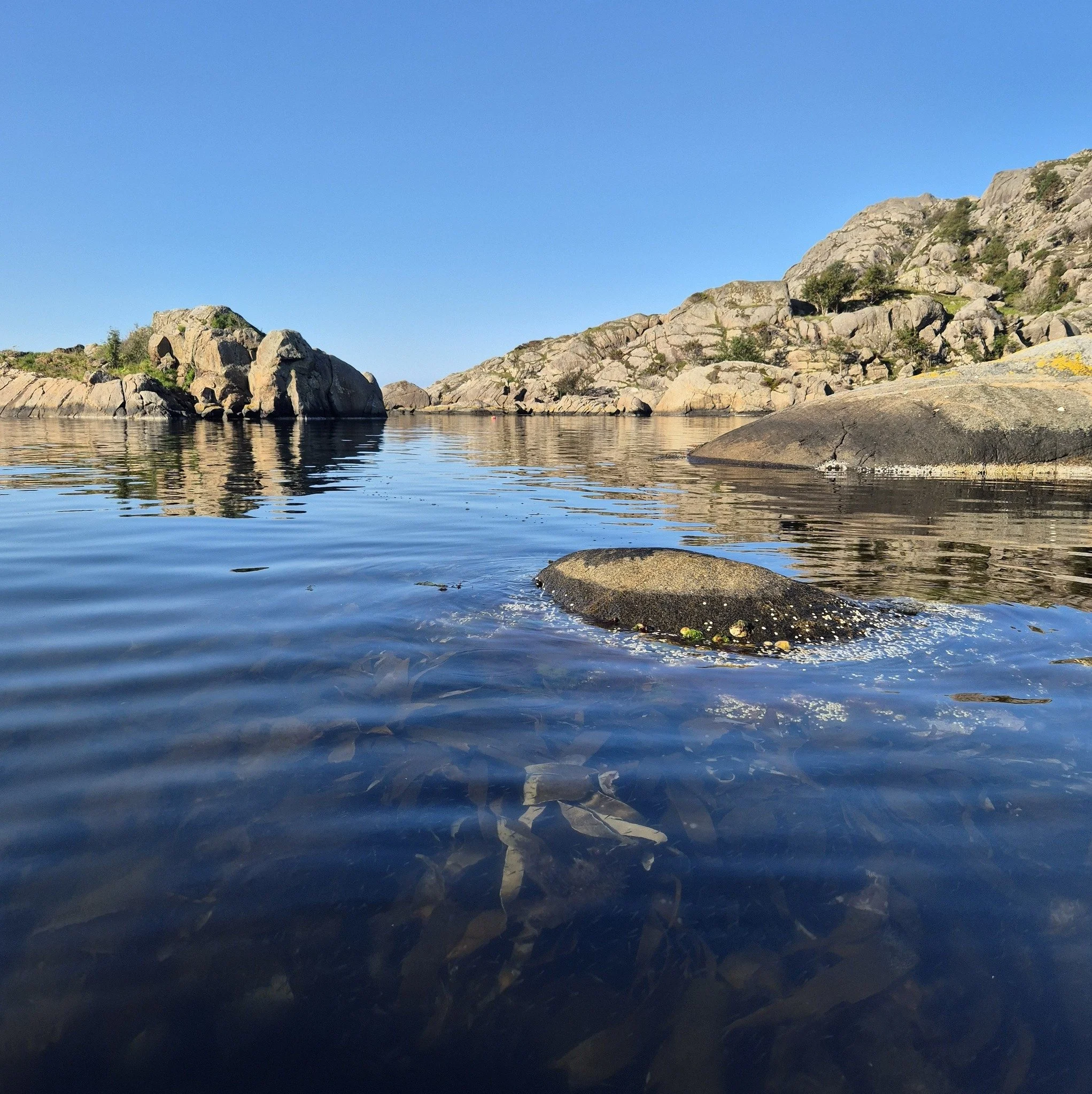 B&aring;ttur 🚤
Lunsj ved sj&oslash;en 🍽️
En dag du husker.