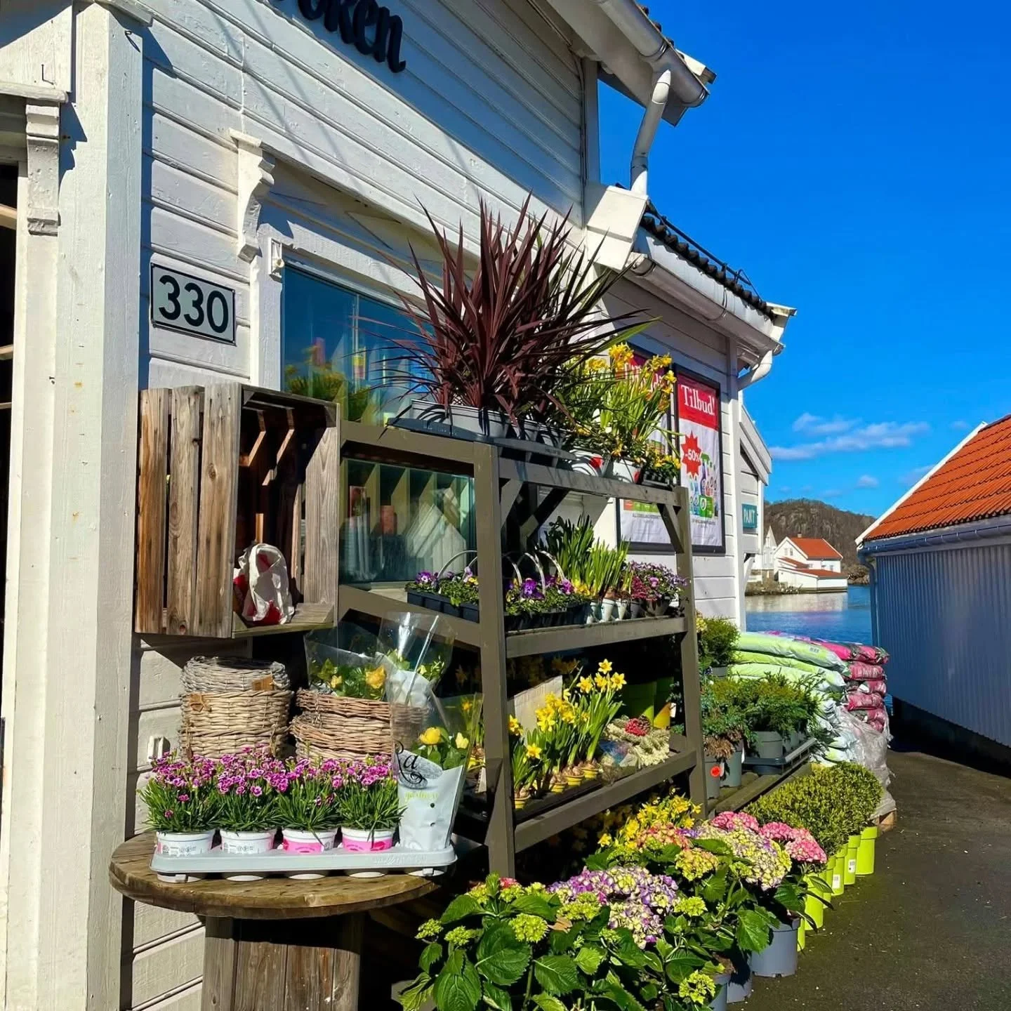 Anbefaler &aring; bes&oslash;ke butikken i Rasv&aring;g 💚
Tirsdagslunsj, kompetorsdag, fredagspub 🌸