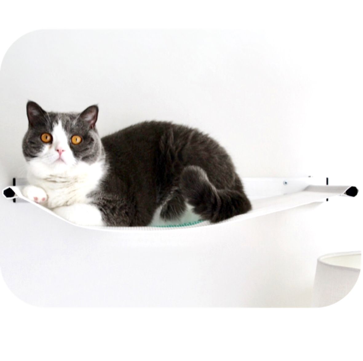 Catipilla Hammock Modern Cat Bed.png