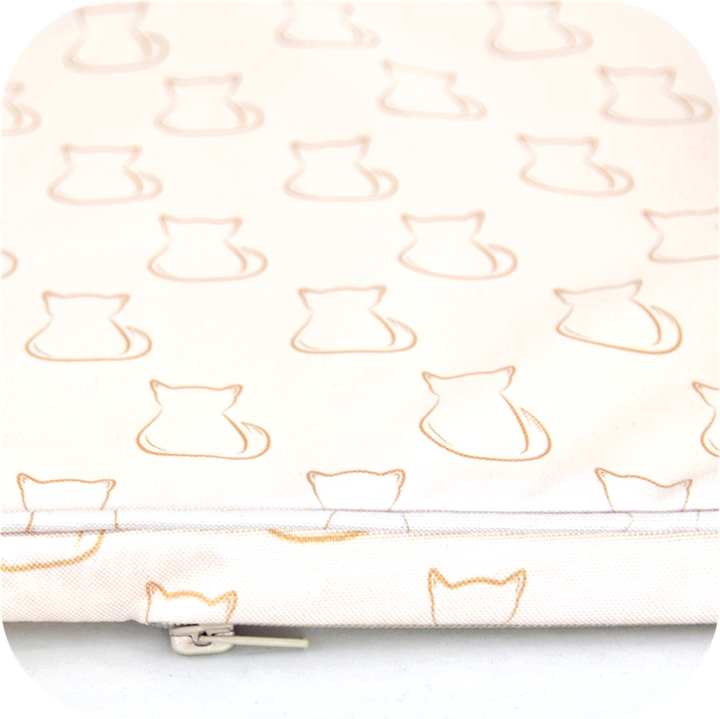 Cushion.png