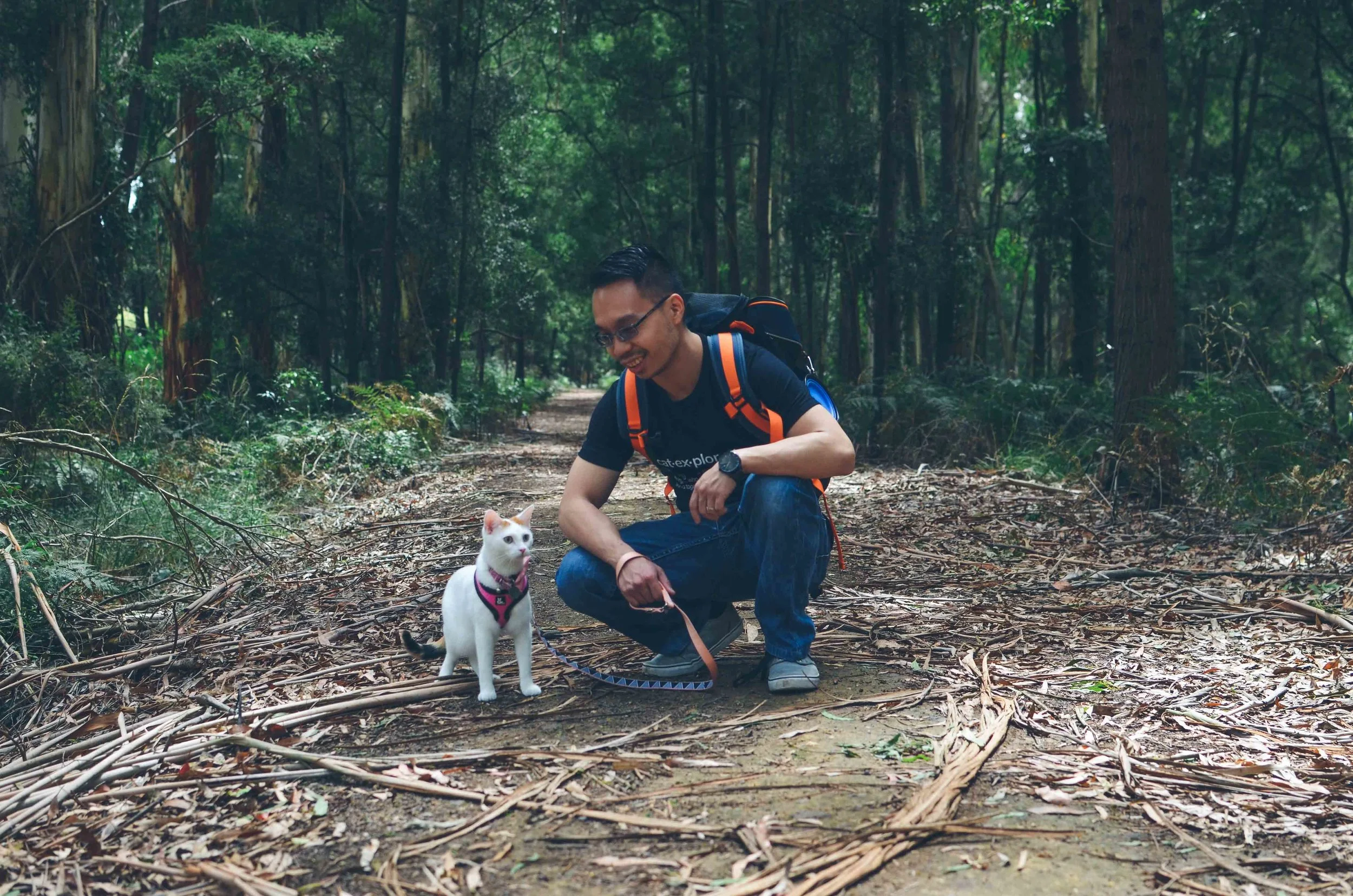 cat+walking+on+leas.jpeg