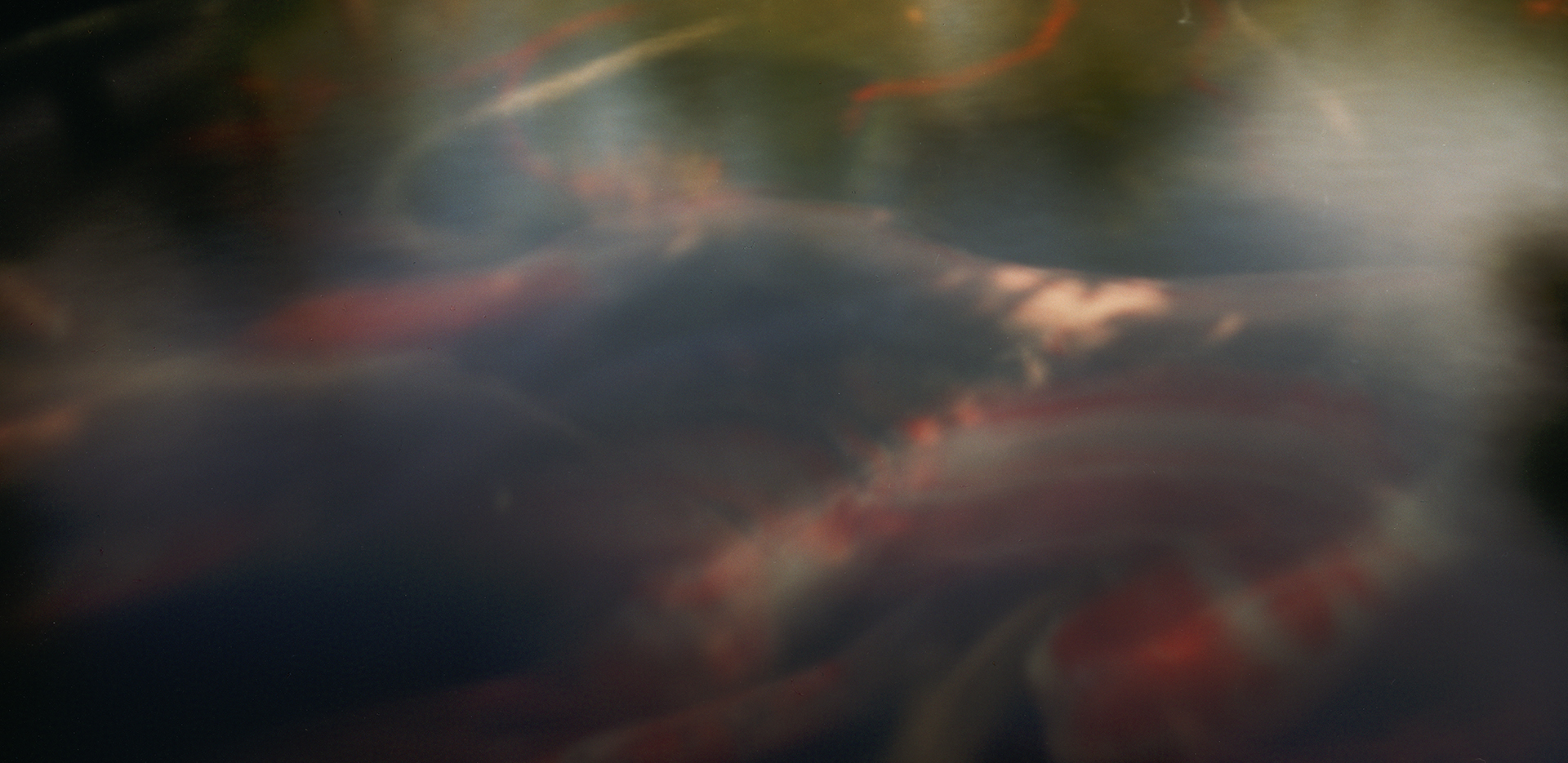 Carp pond. Shikoku, Japan, 2013