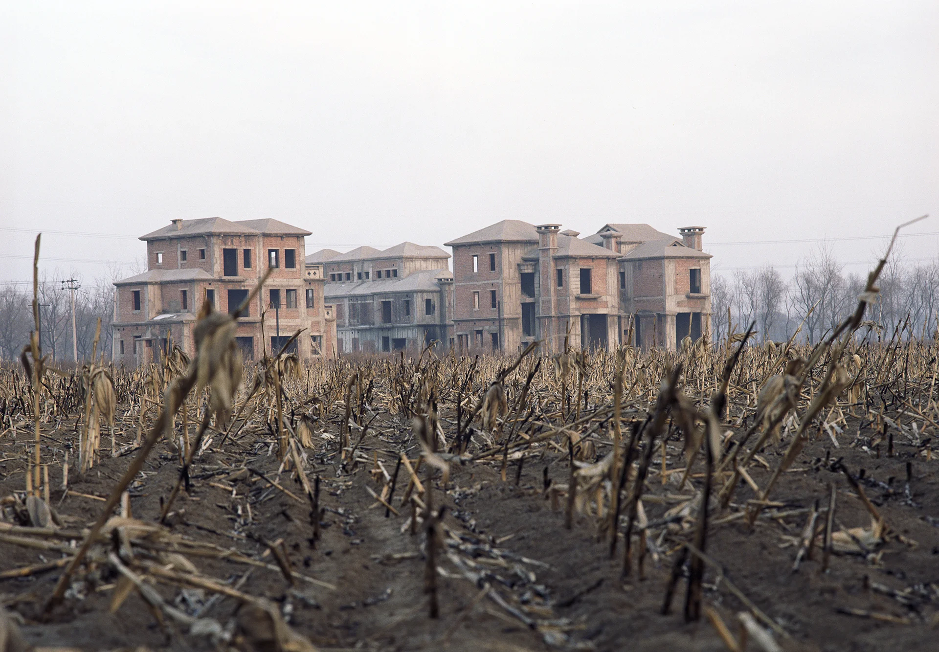 "Forbidden city" in the cornfield.