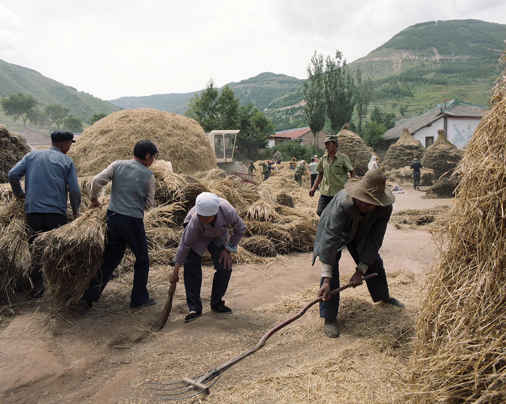 I2007 - in He Shang Pu the whole village at work to bring the harvest in.