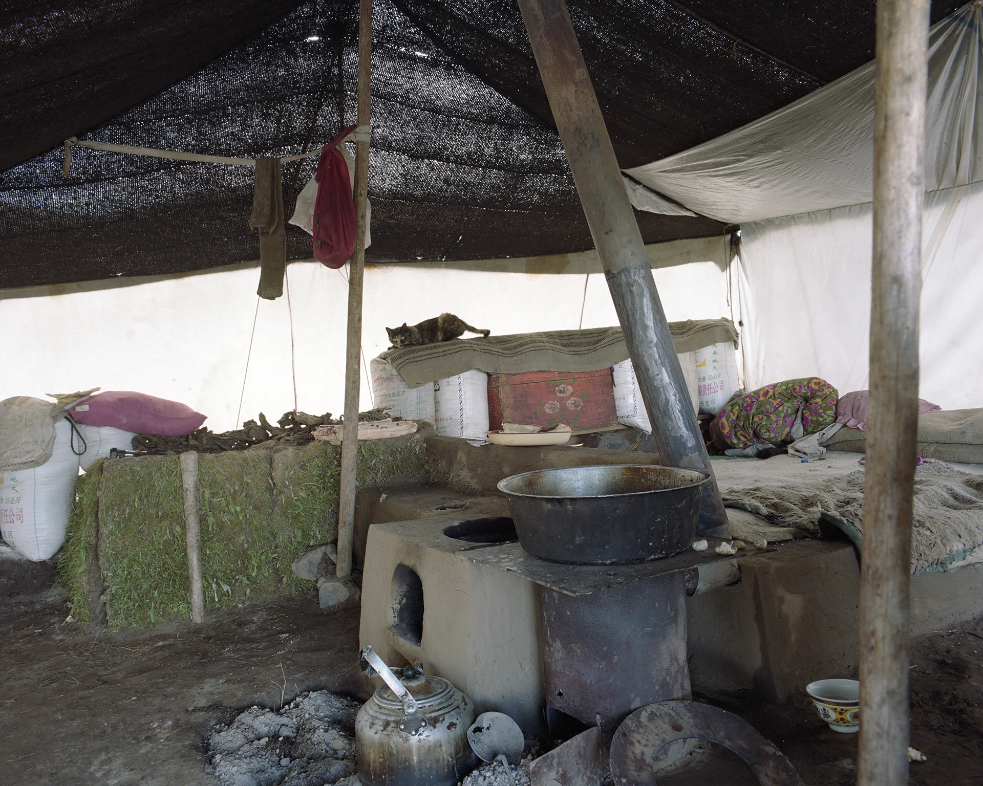2007 Ginghai - small tent on the grasslands. The grassclad box in the back contains the dung for the fire.