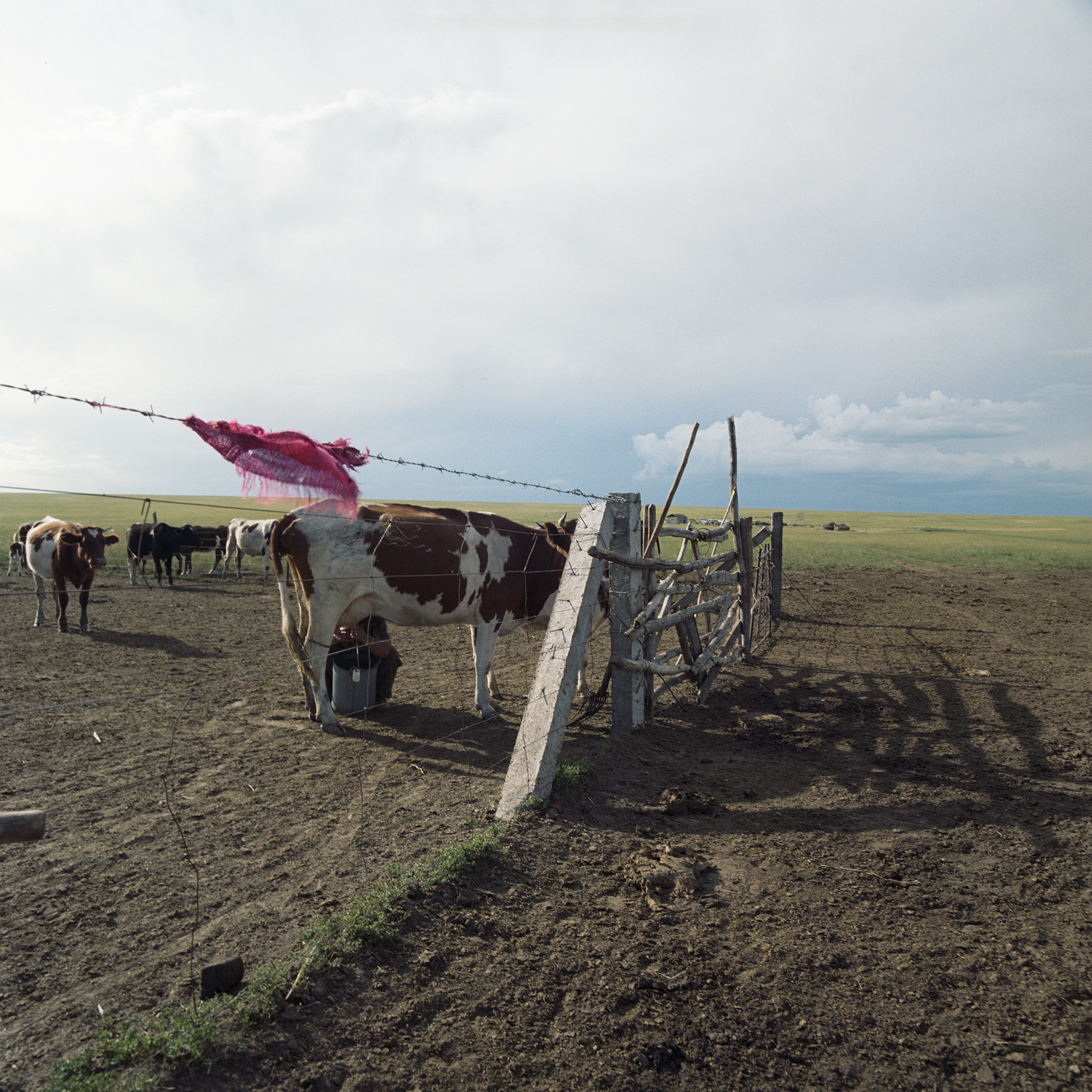 2008 Inner Mongolia - almost a Dutch painting.