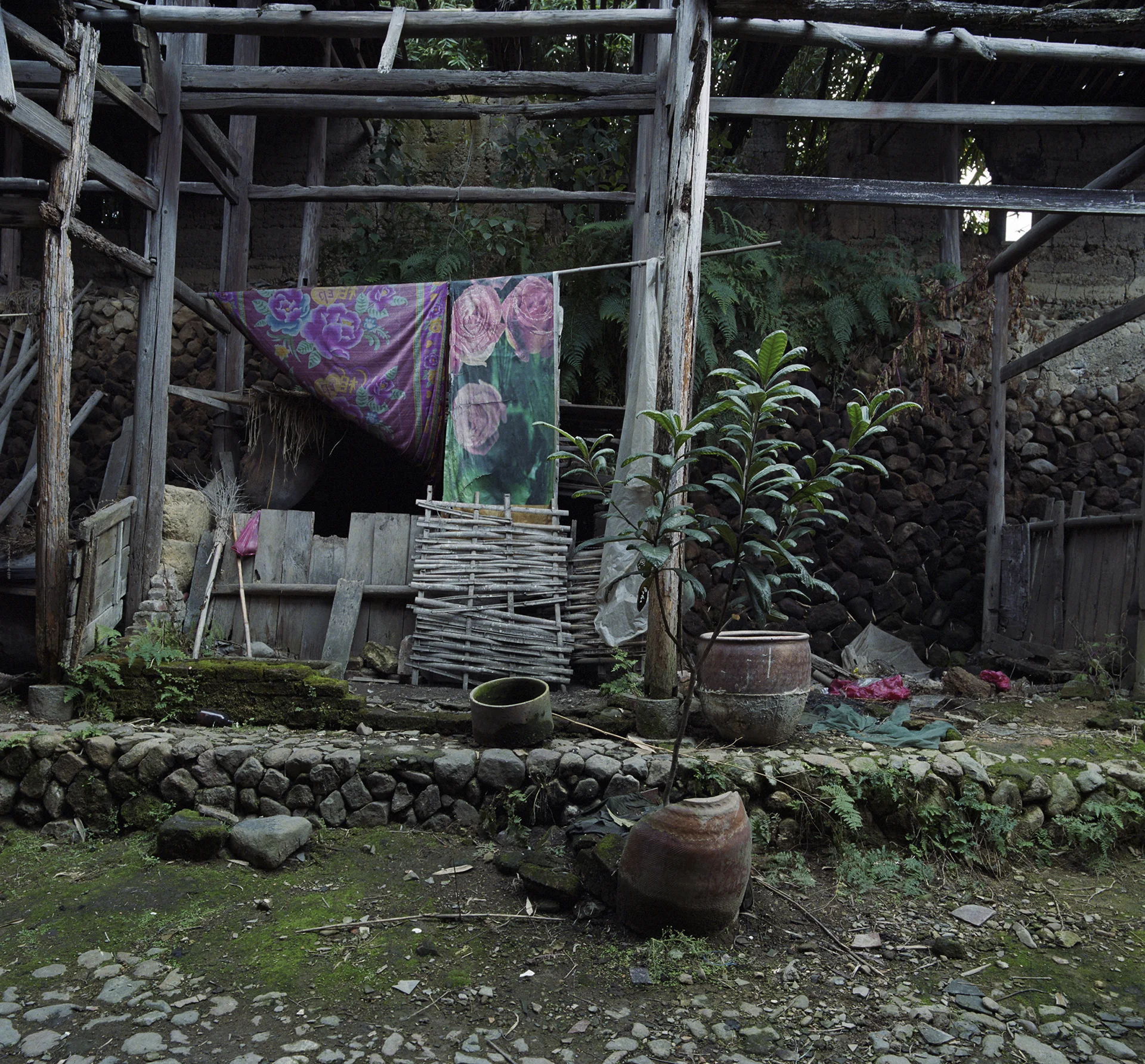 2009 Fujian - nicely decorated pig stable.