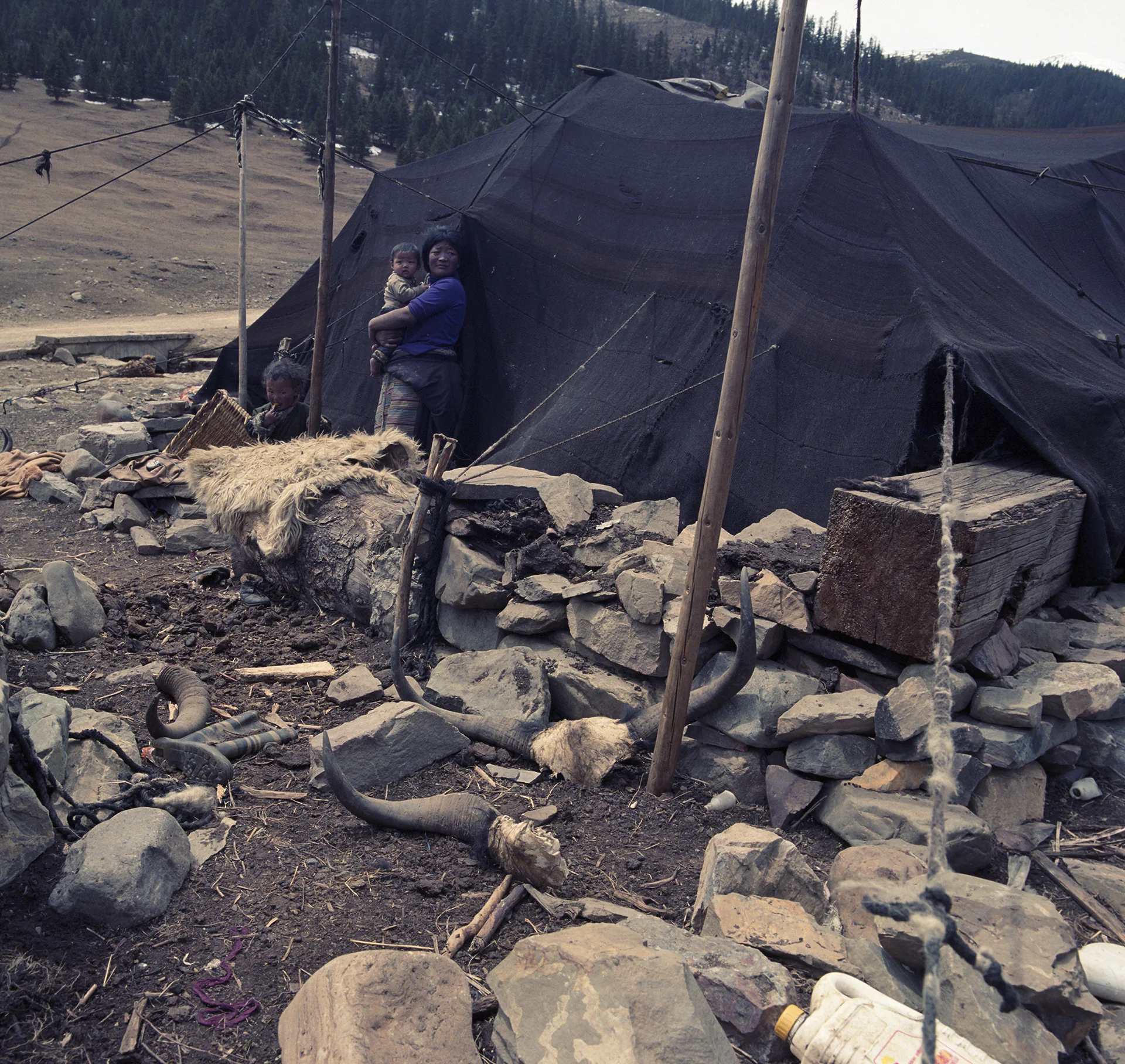 2010, near Litang - nomad tent along the road.