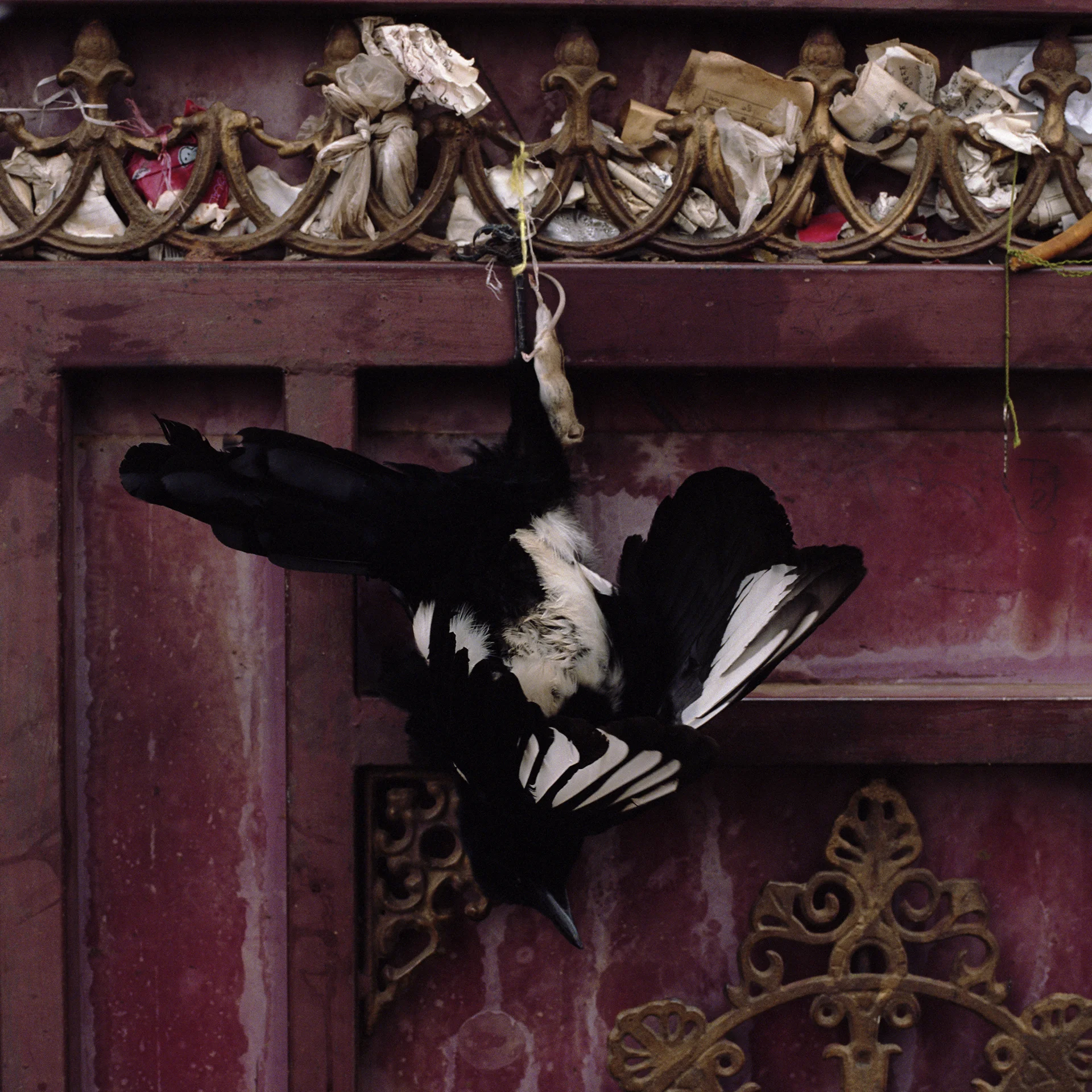 2010, Ya Chi - door of a monastery.