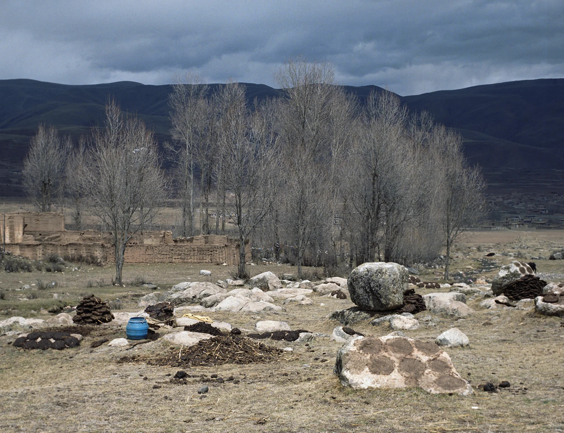 2010, near Bayu - dung drying in the fields.