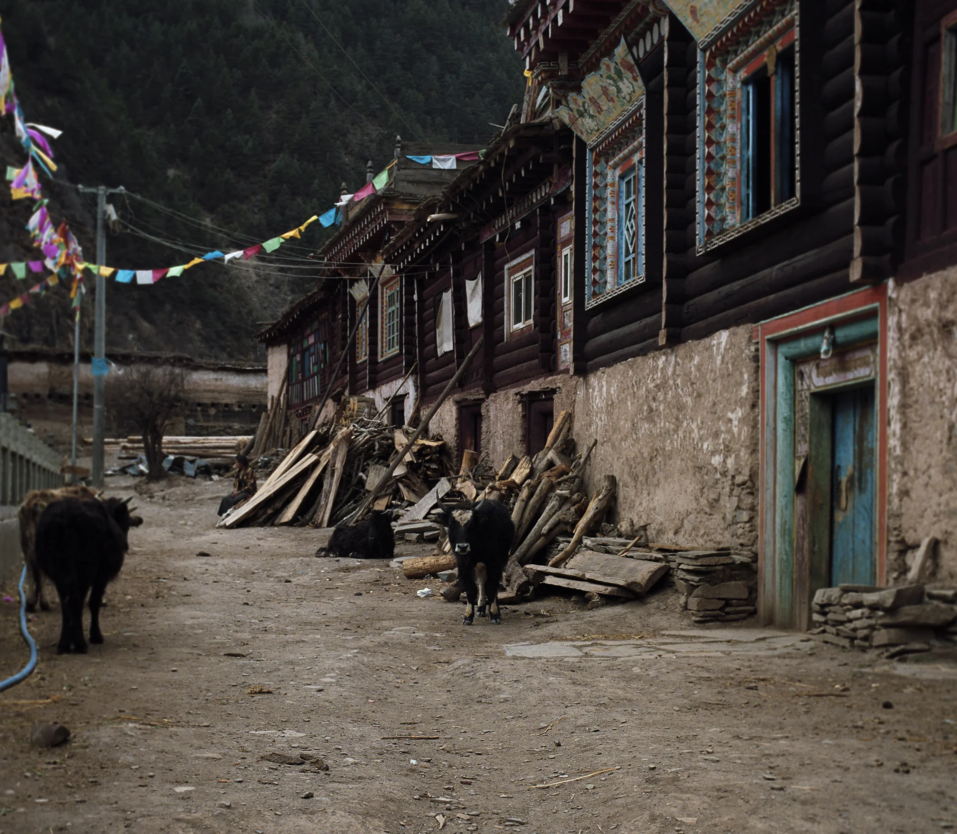 2010, near Xinlong - street next to the monastery.
