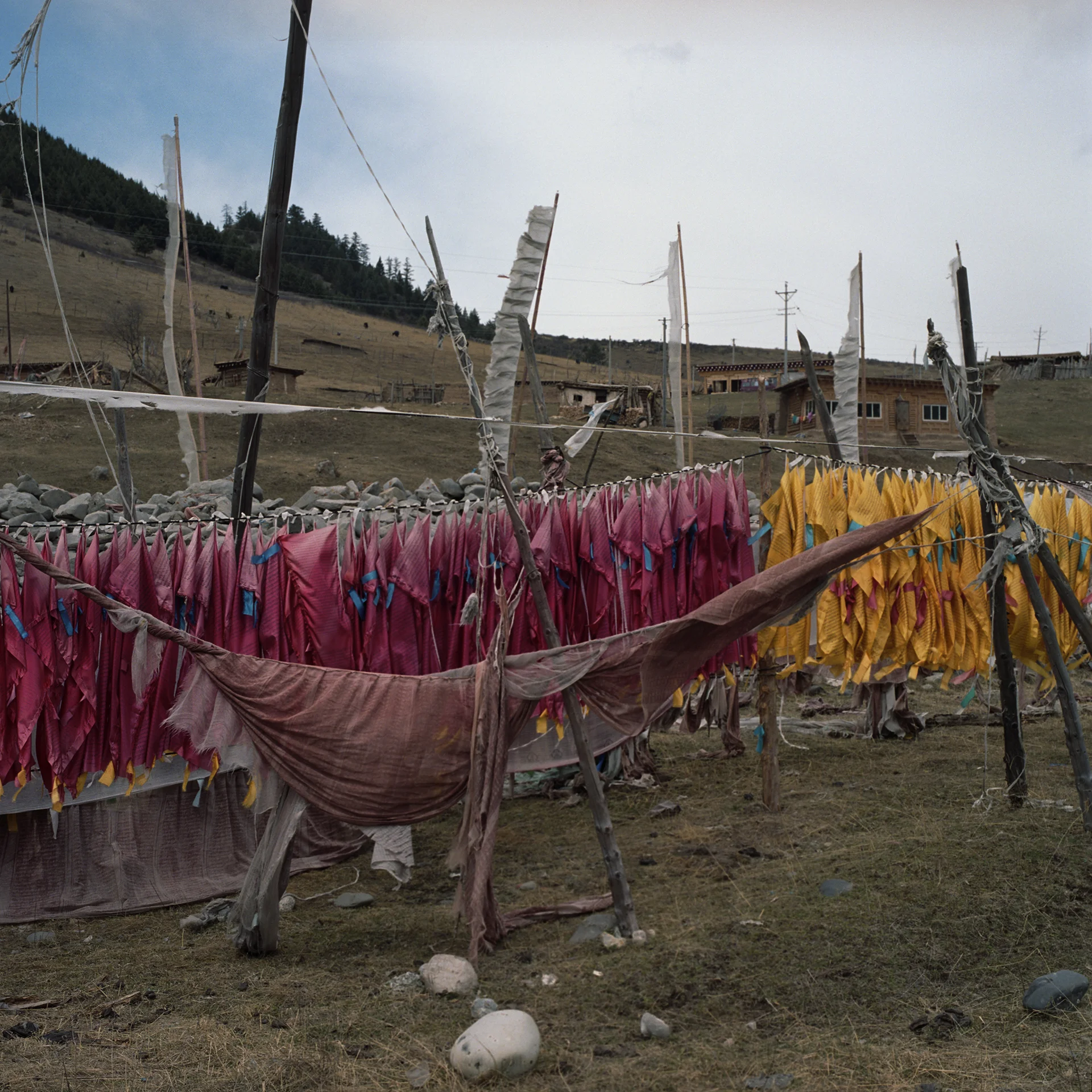 2010, near Yliang - a mountain full of prayer flags.