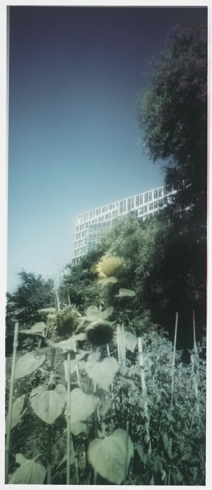 Amsterdam-Zuidas, The Edge, Mahlerlaan.
