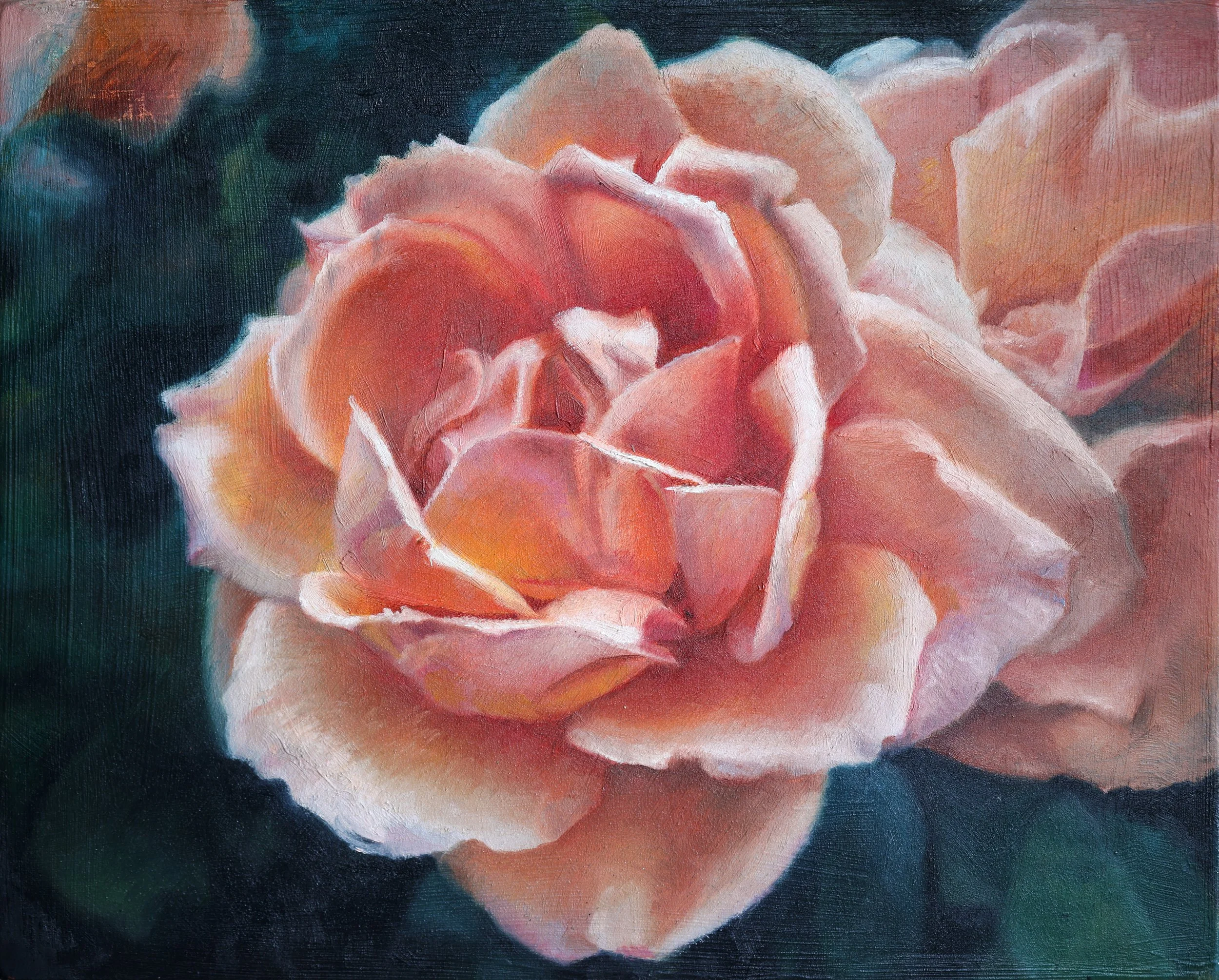 20 x 25cm-4.jpg