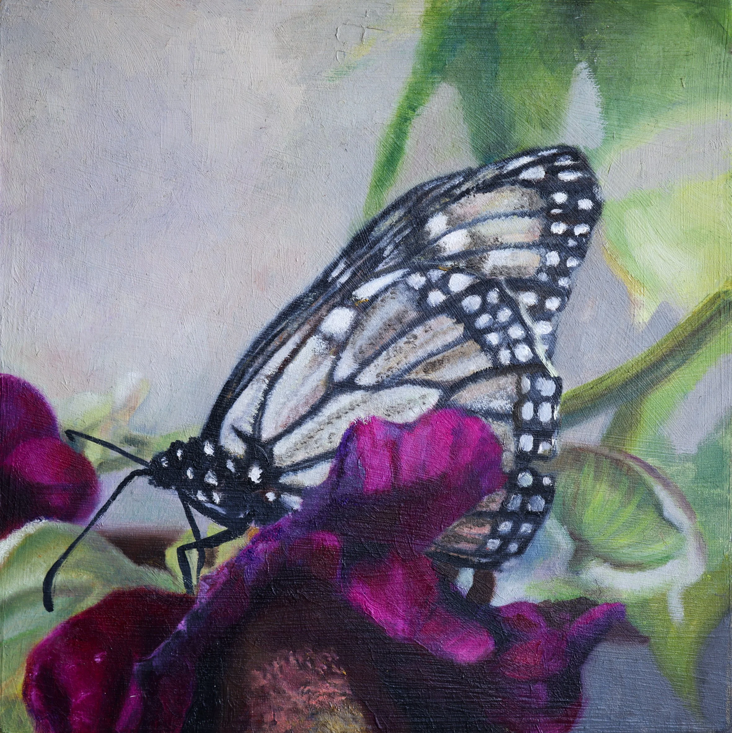 20 x 20cm-2.jpg