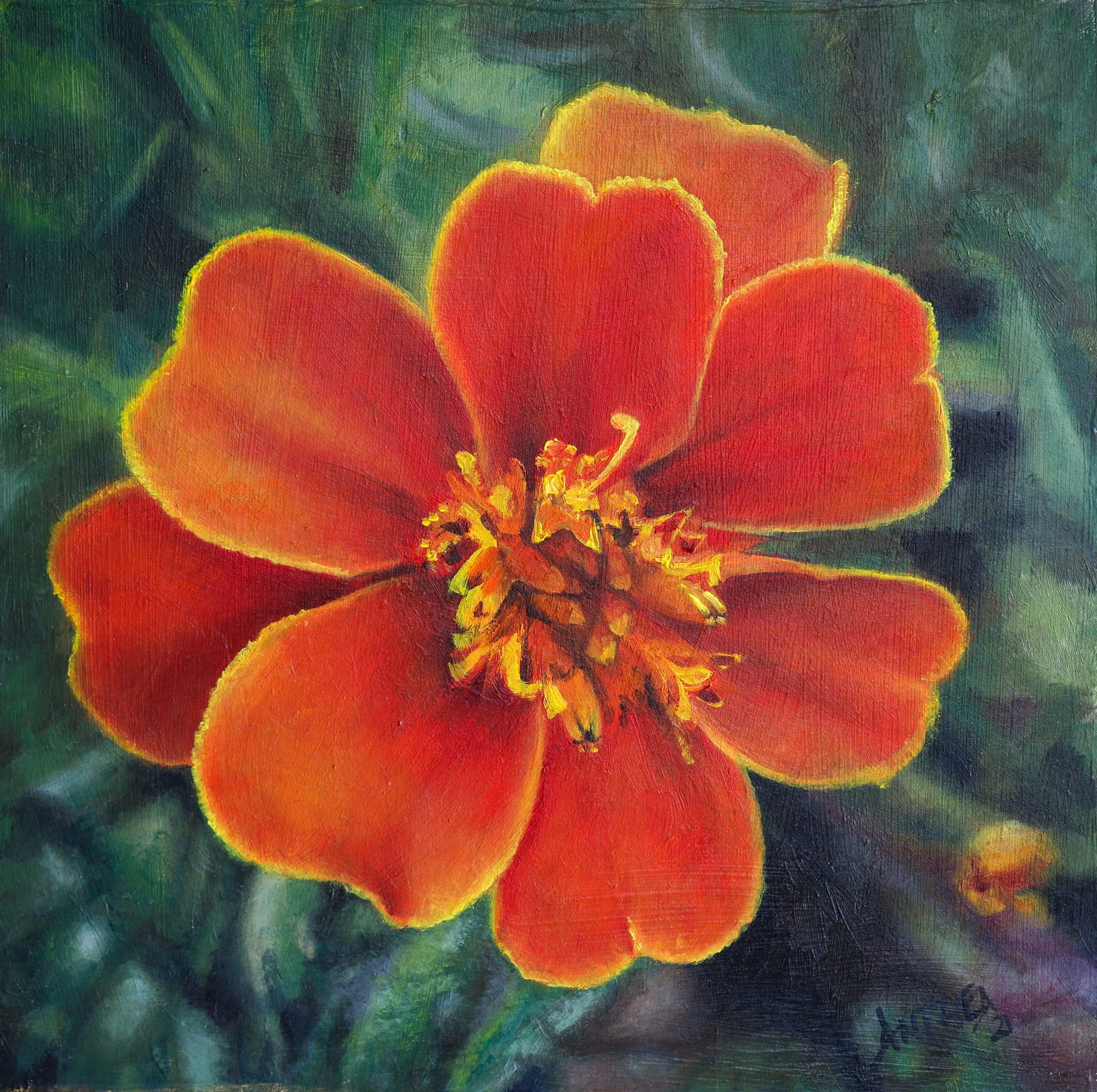 20 x 20cm.jpg