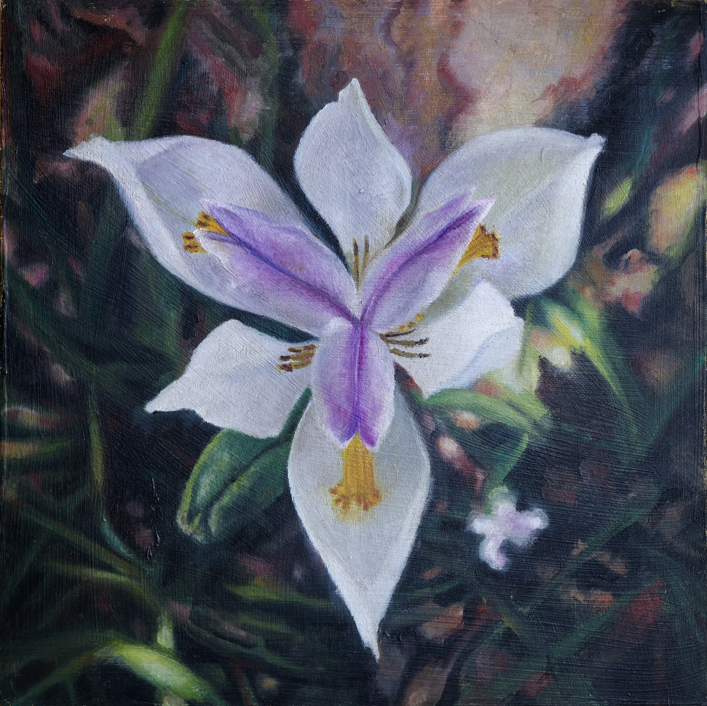 20 x 20cm-4.jpg