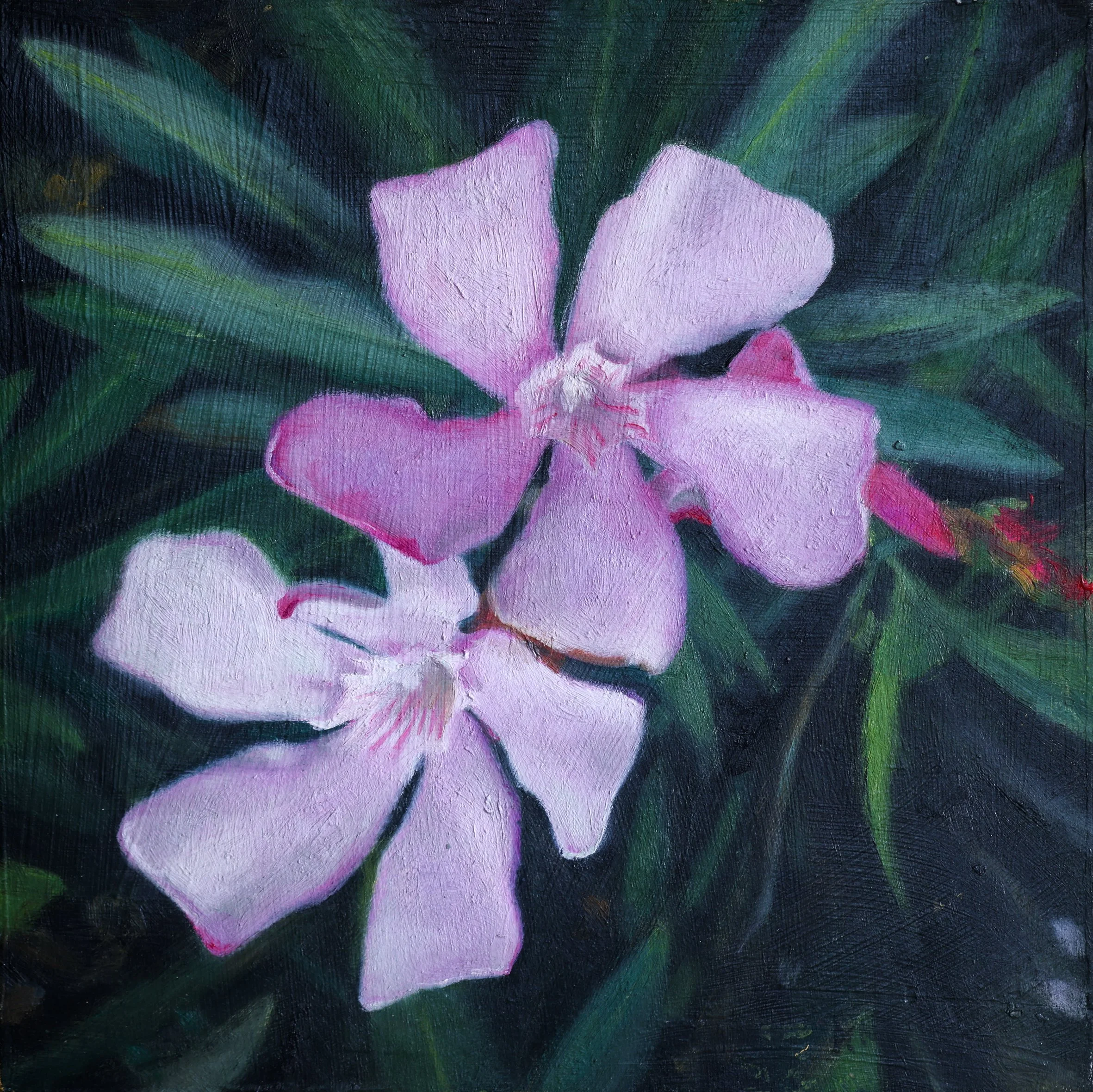 20 x 20cm-3.jpg