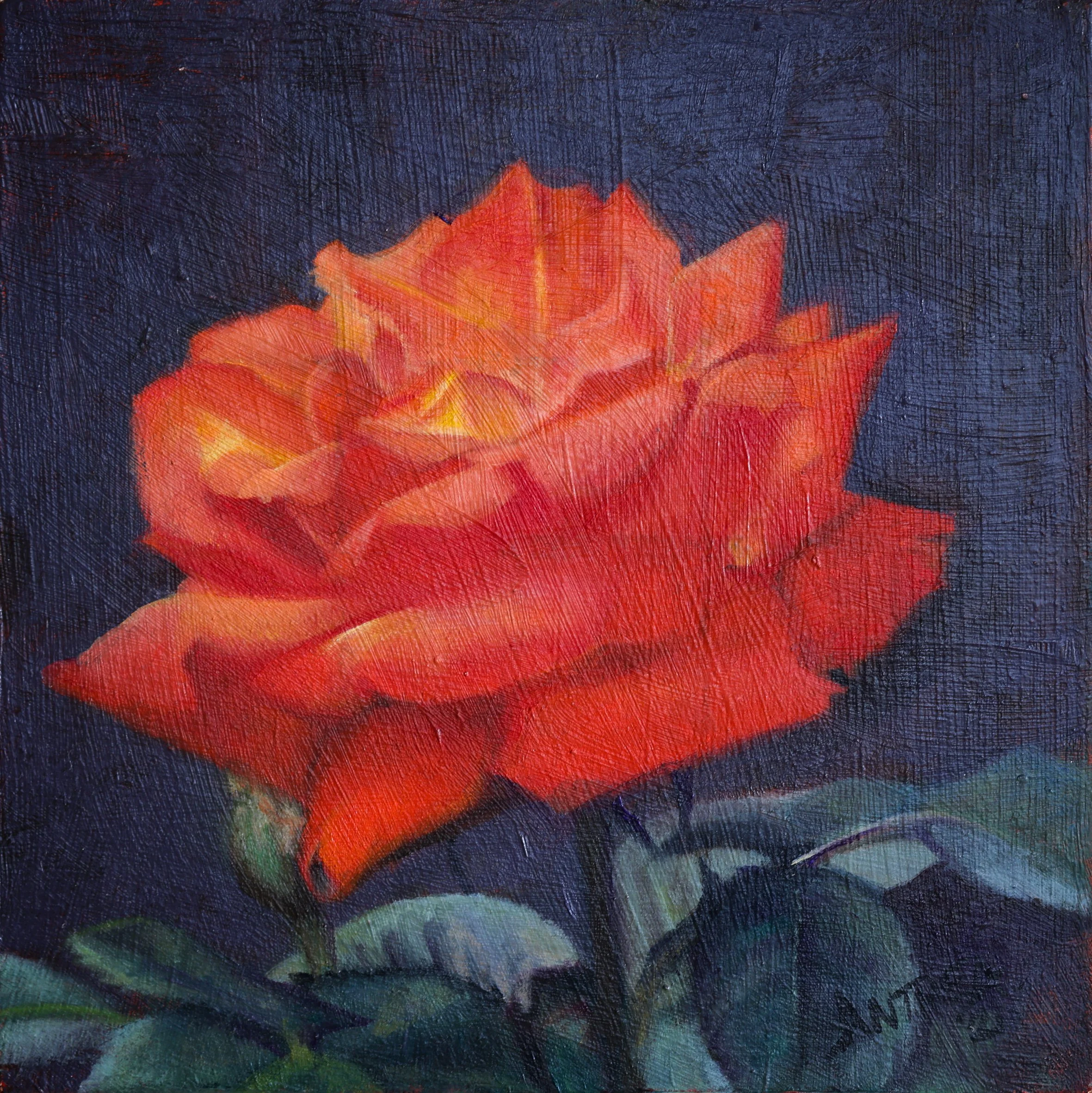 15 x 15cm-3.jpg