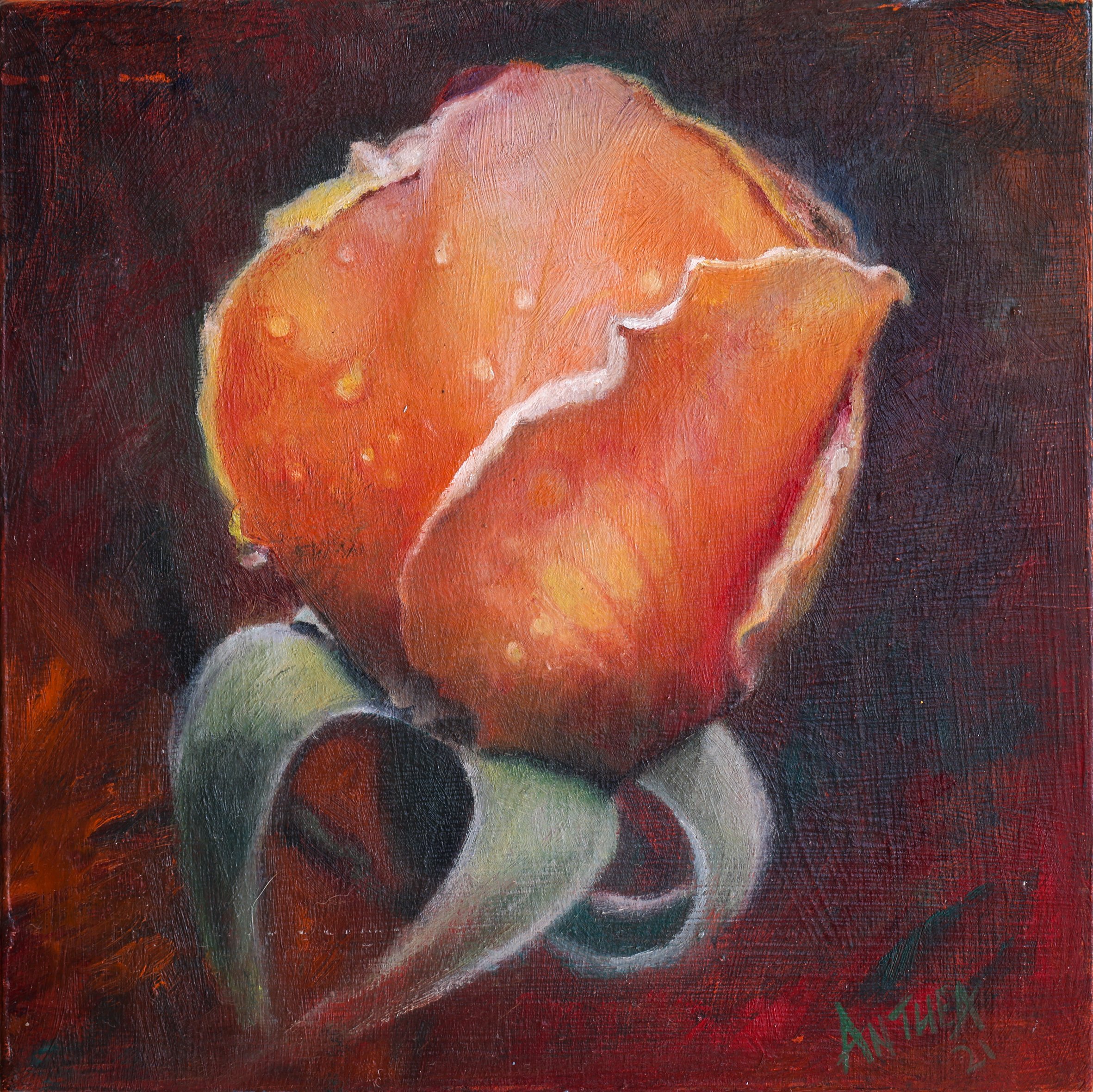 15 x 15cm-2.jpg