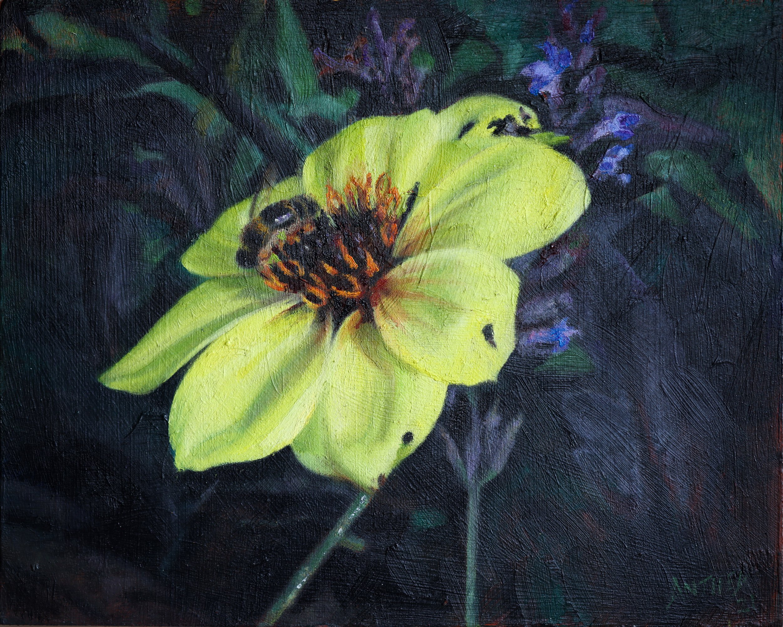 20 x 25cm-3.jpg