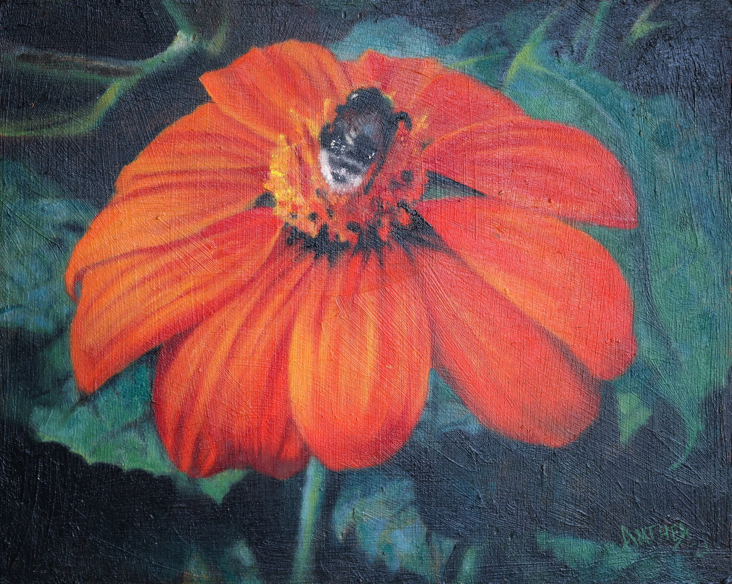 20 x 25cm.jpg