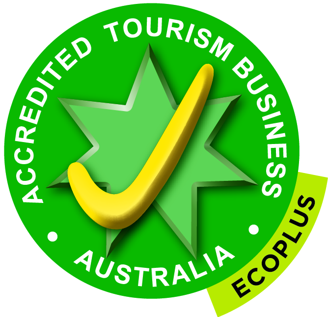 1. ATAPEmboss EcoPlus Logo (3).jpg