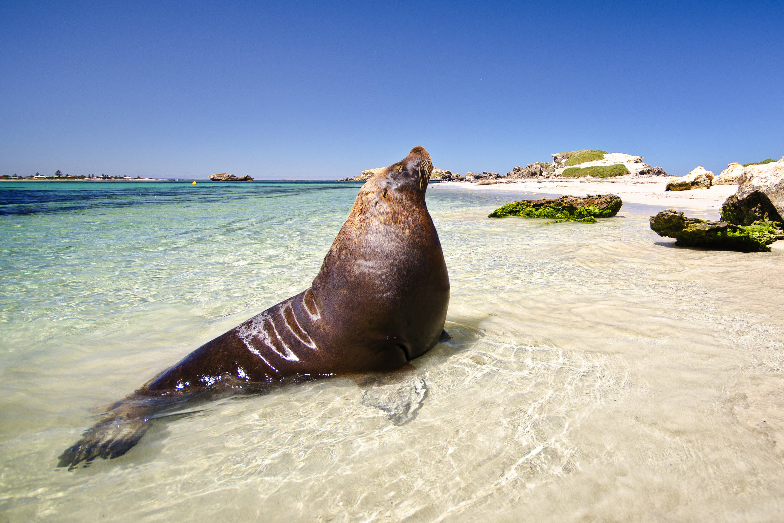 IBT 2012 12_111a.jpg